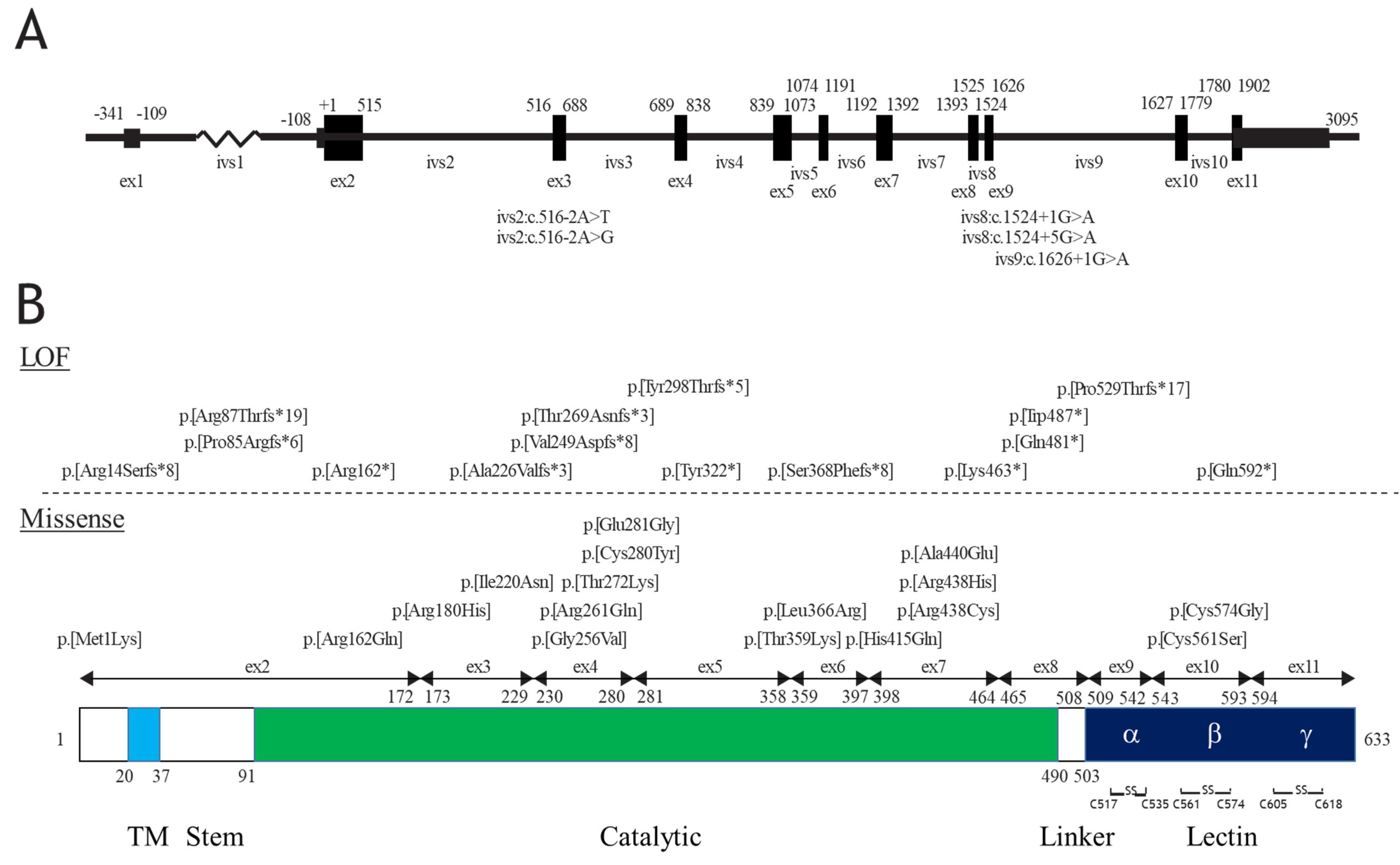 Molecules 26 05504 g001 Molecules 26 05504 g001