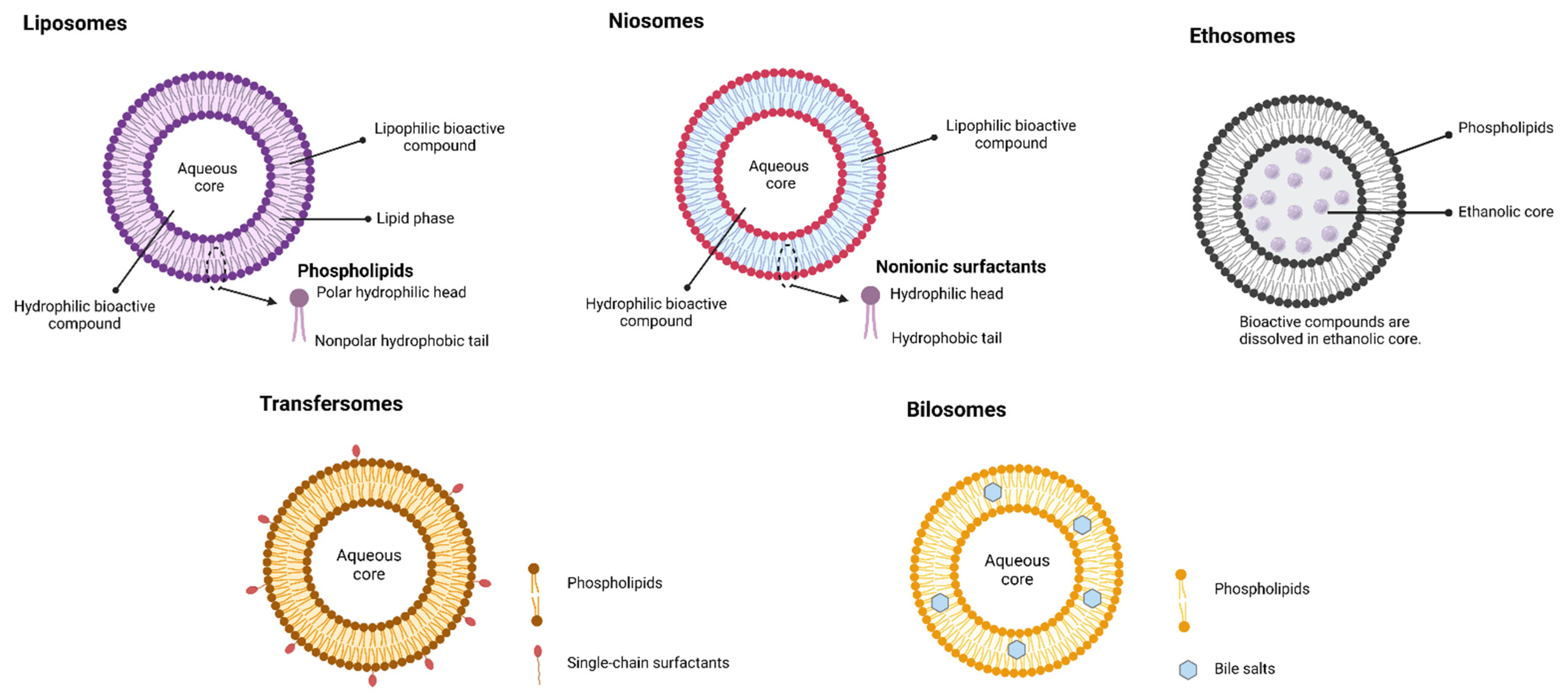 Molecules 26 05510 g003