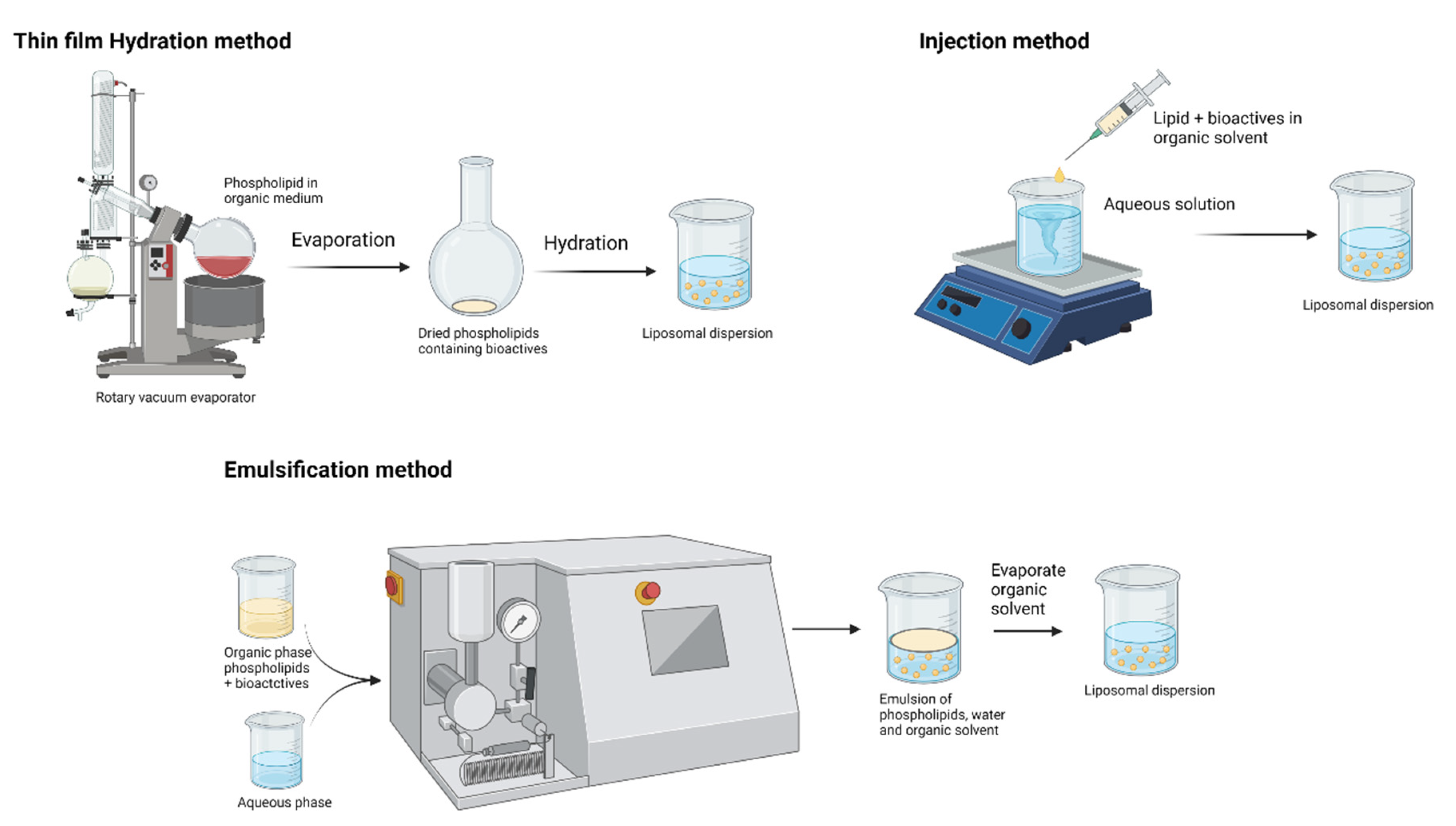 Molecules 26 05510 g004