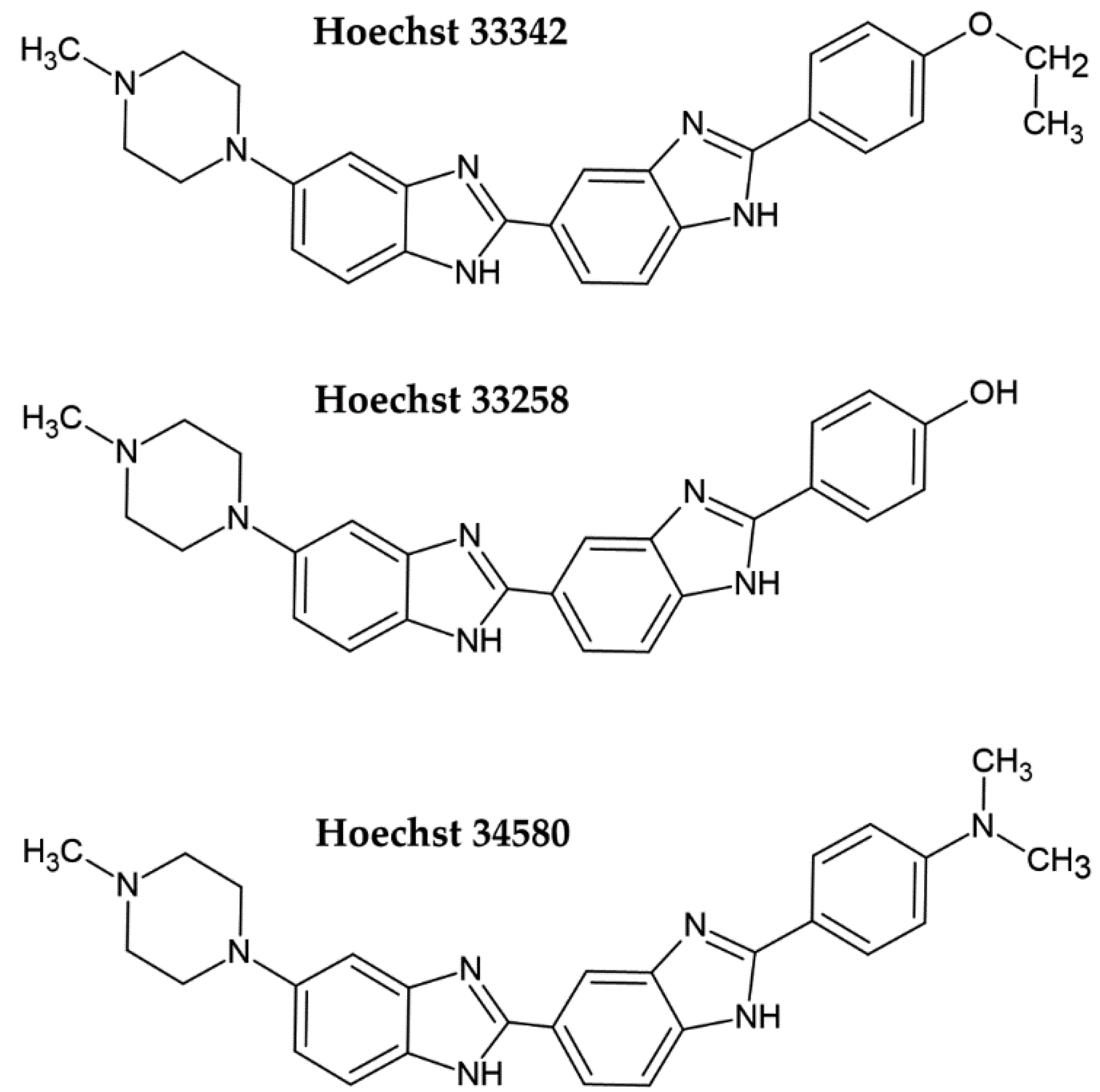 Molecules 26 05515 g001