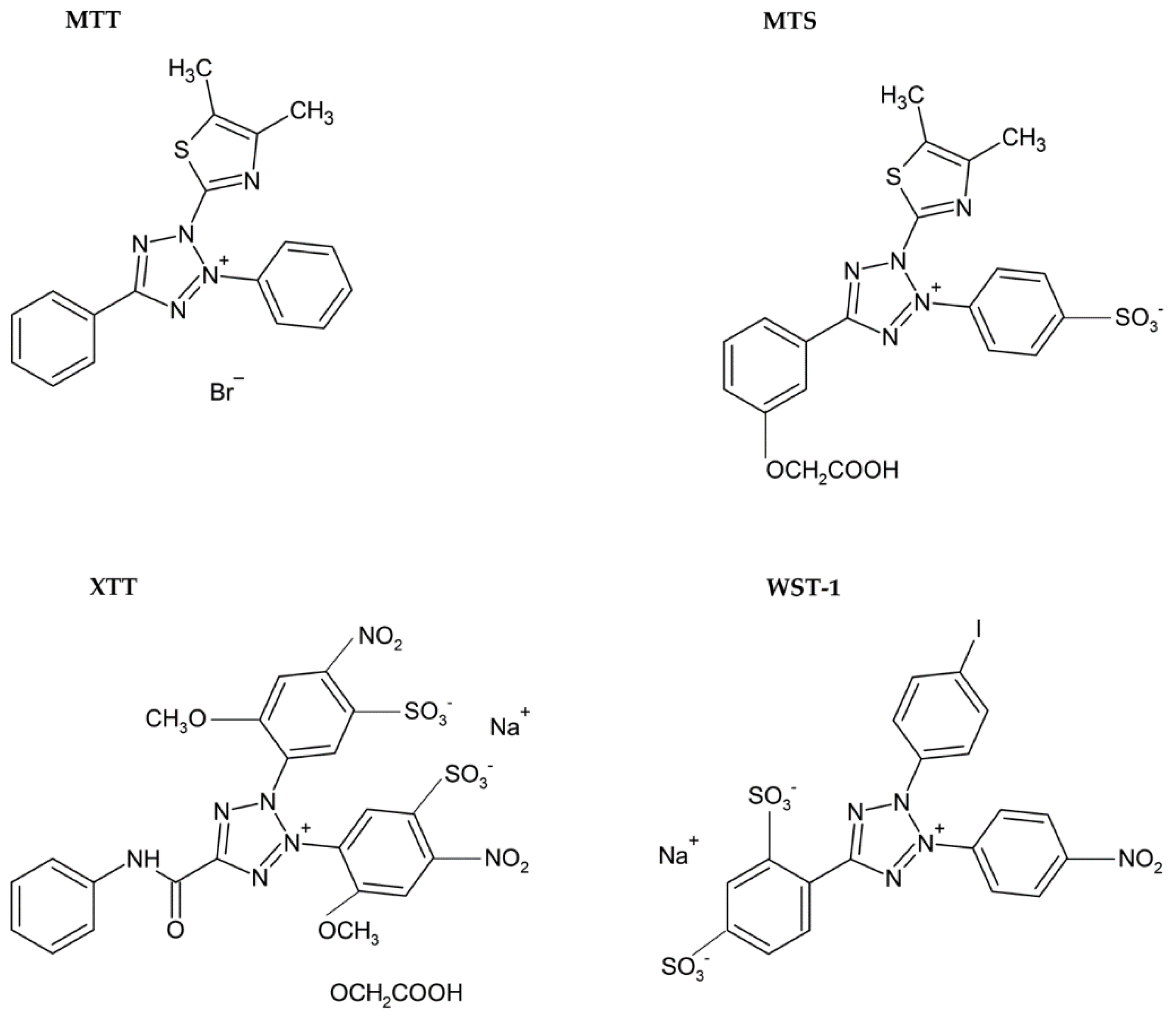 Molecules 26 05515 g004