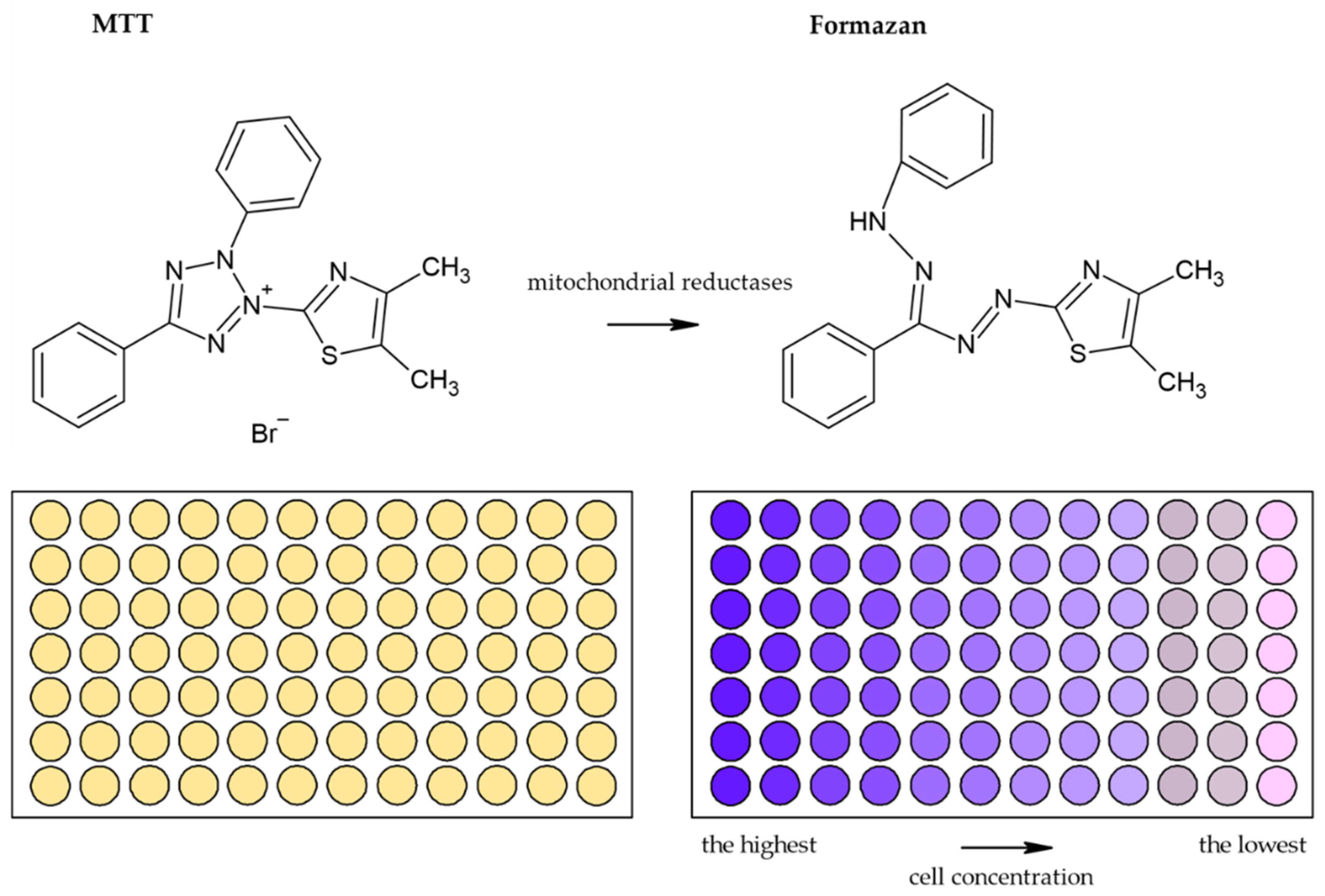 Molecules 26 05515 g005