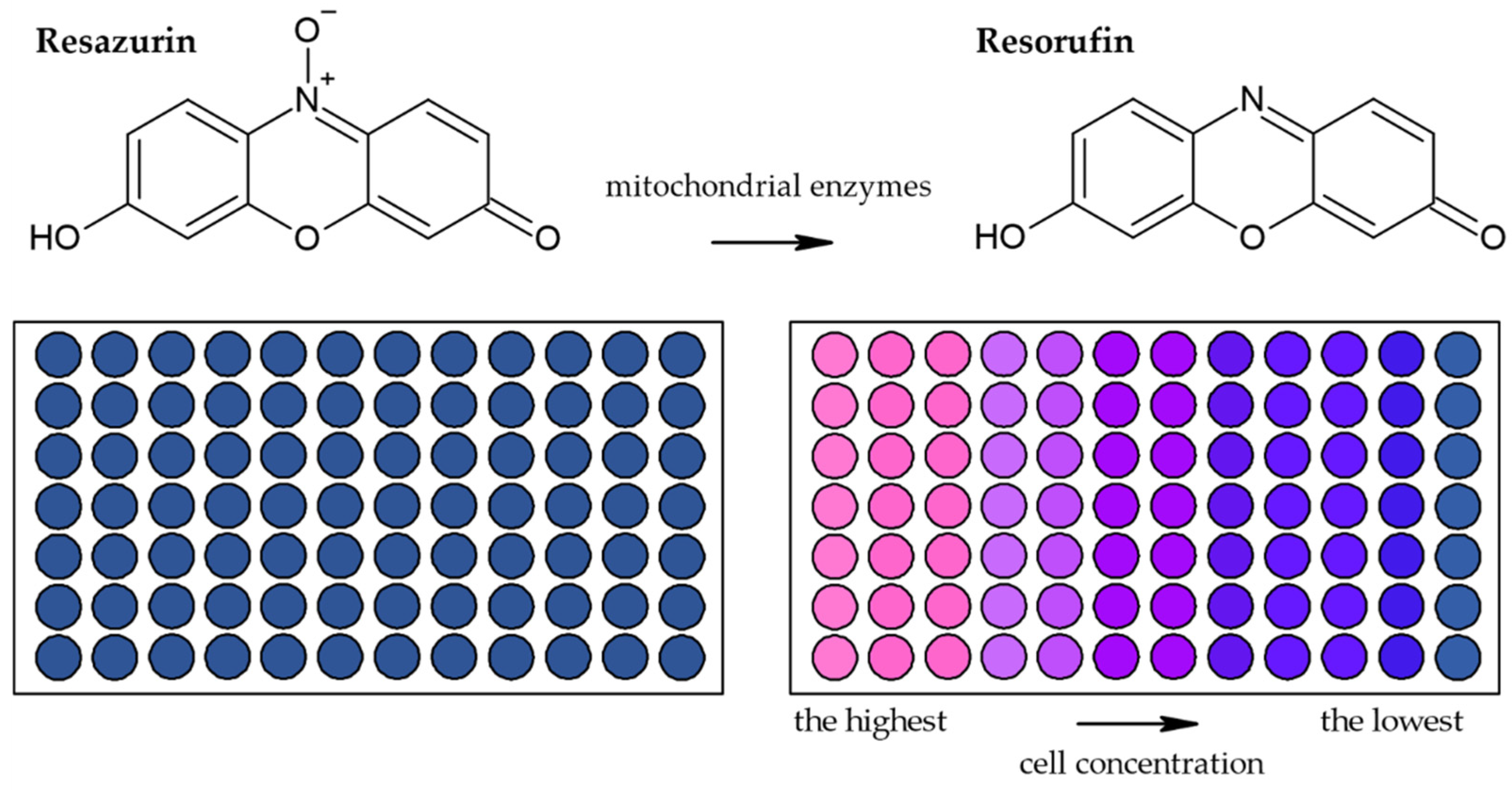 Molecules 26 05515 g006