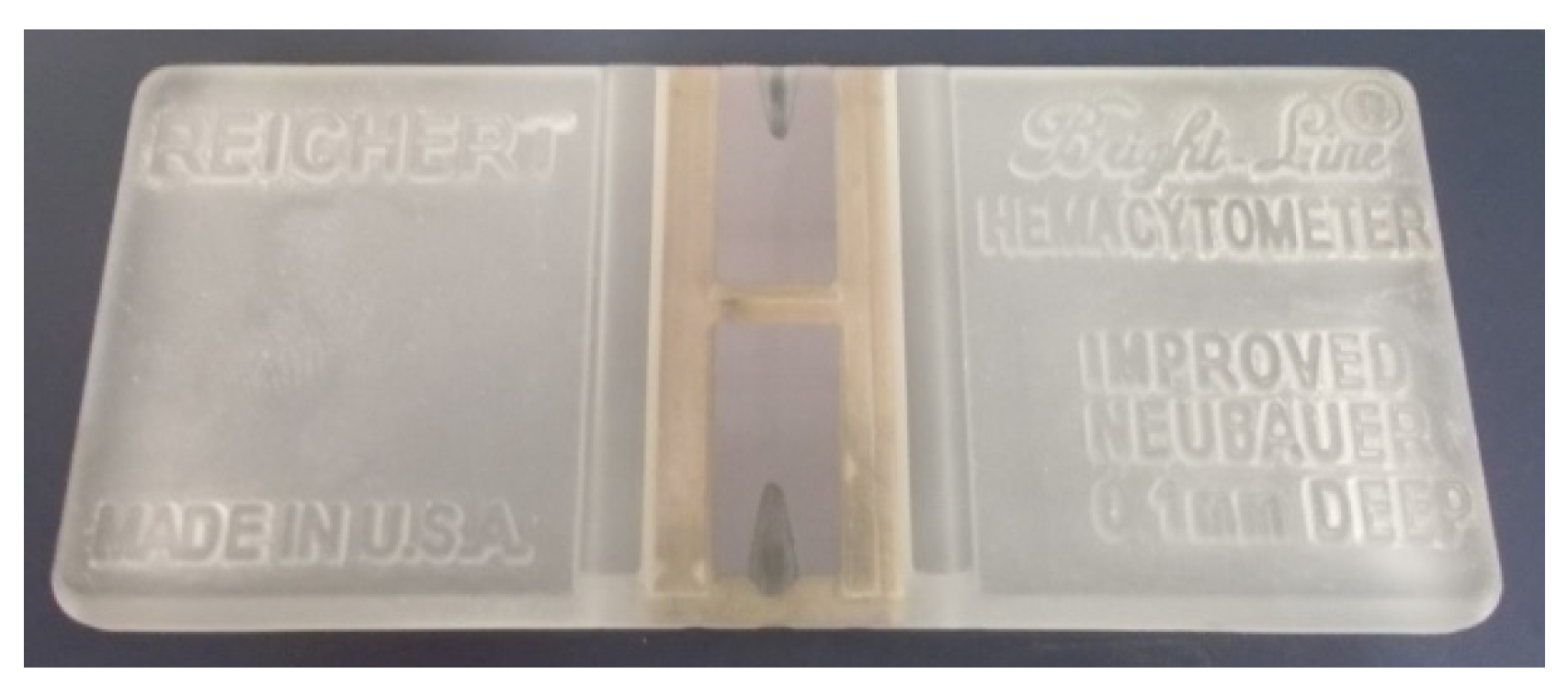 Molecules 26 05515 g007