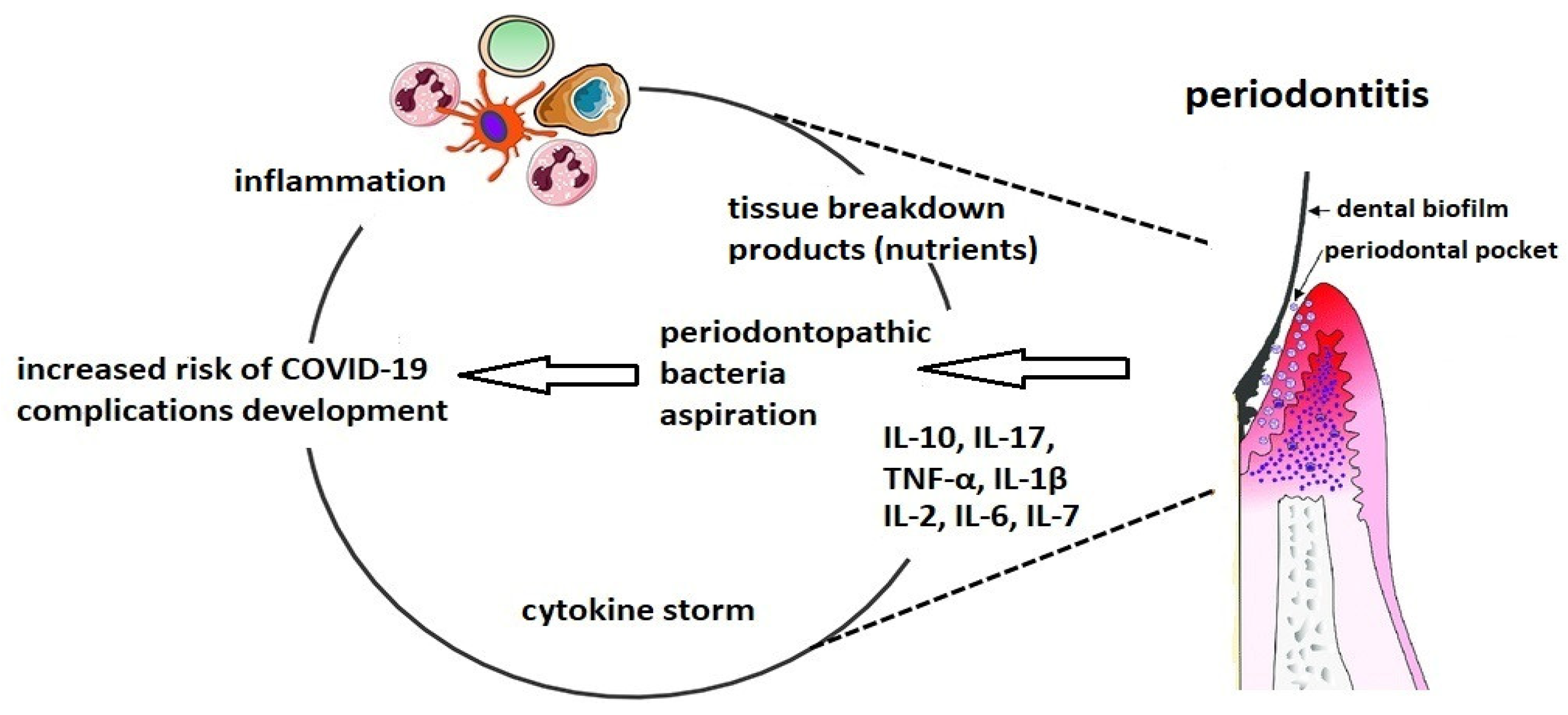 Molecules 26 05516 g001 Molecules 26 05516 g001