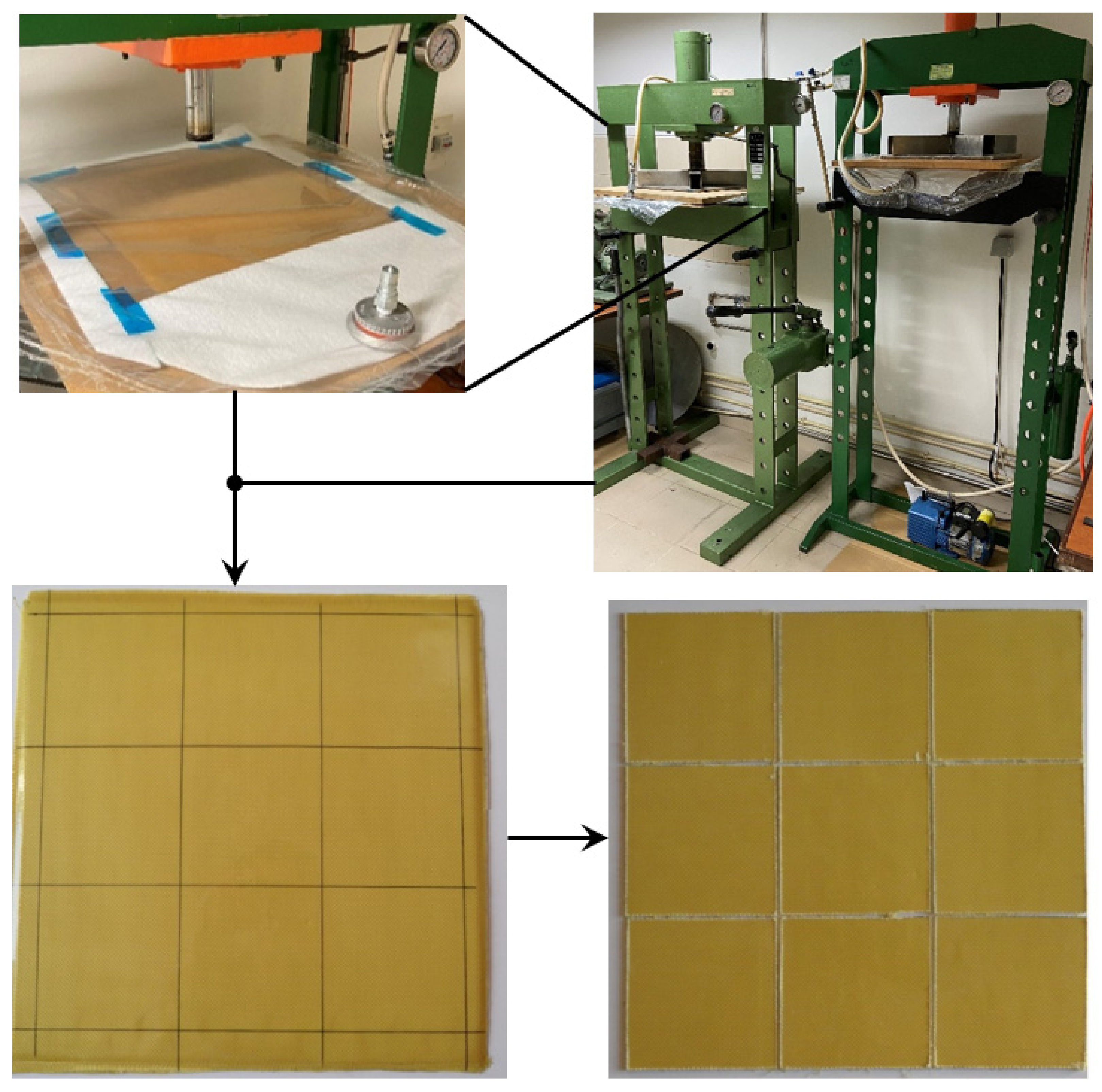 Molecules 26 05520 g001 Molecules 26 05520 g001