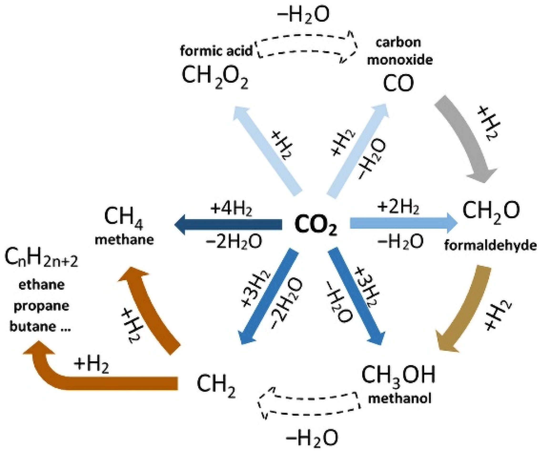 Molecules 26 05524 g001