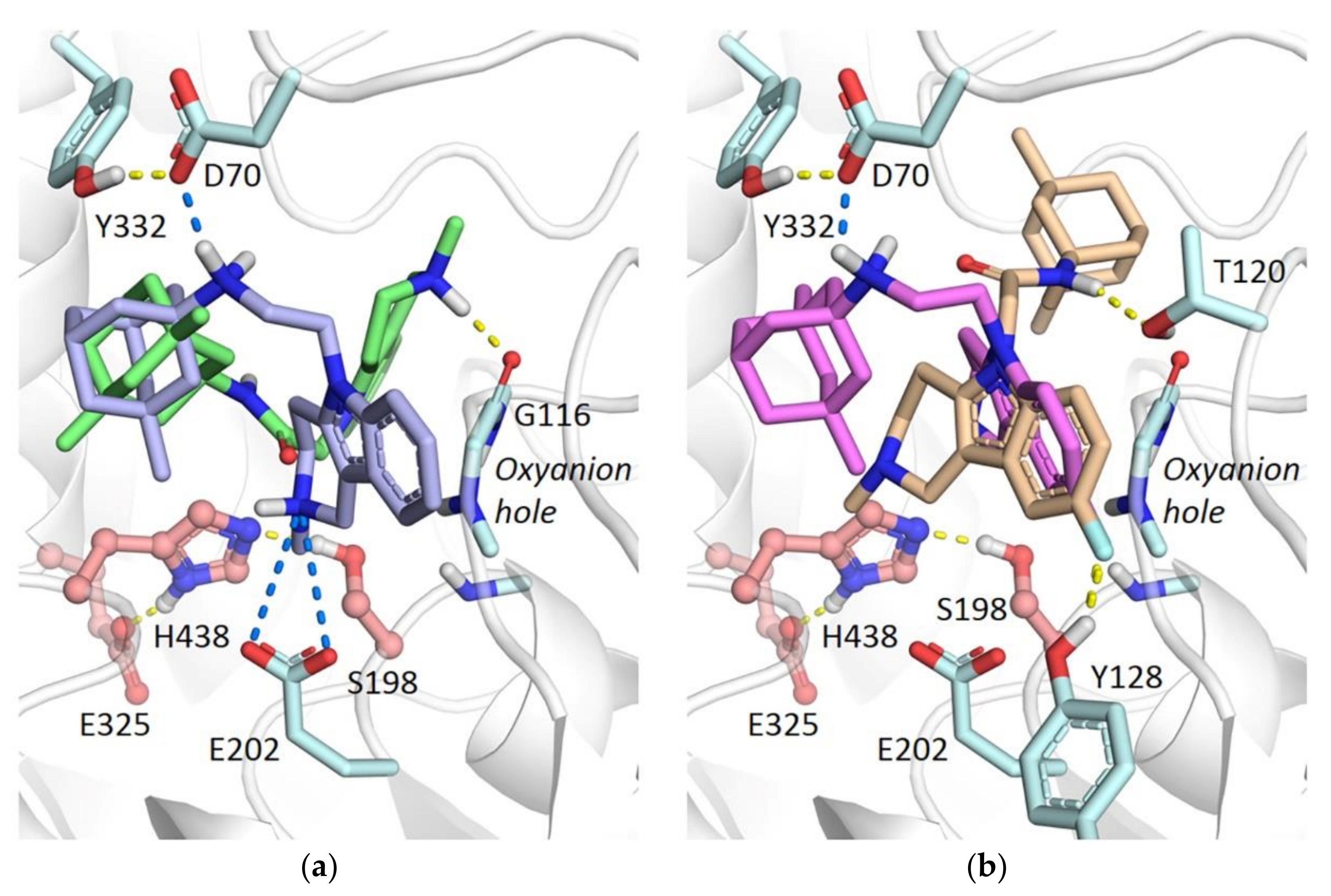 Molecules 26 05527 g003