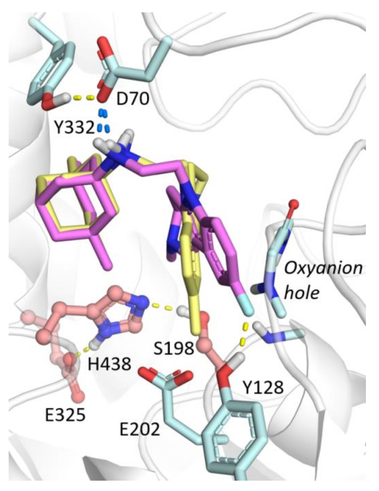 Molecules 26 05527 g004