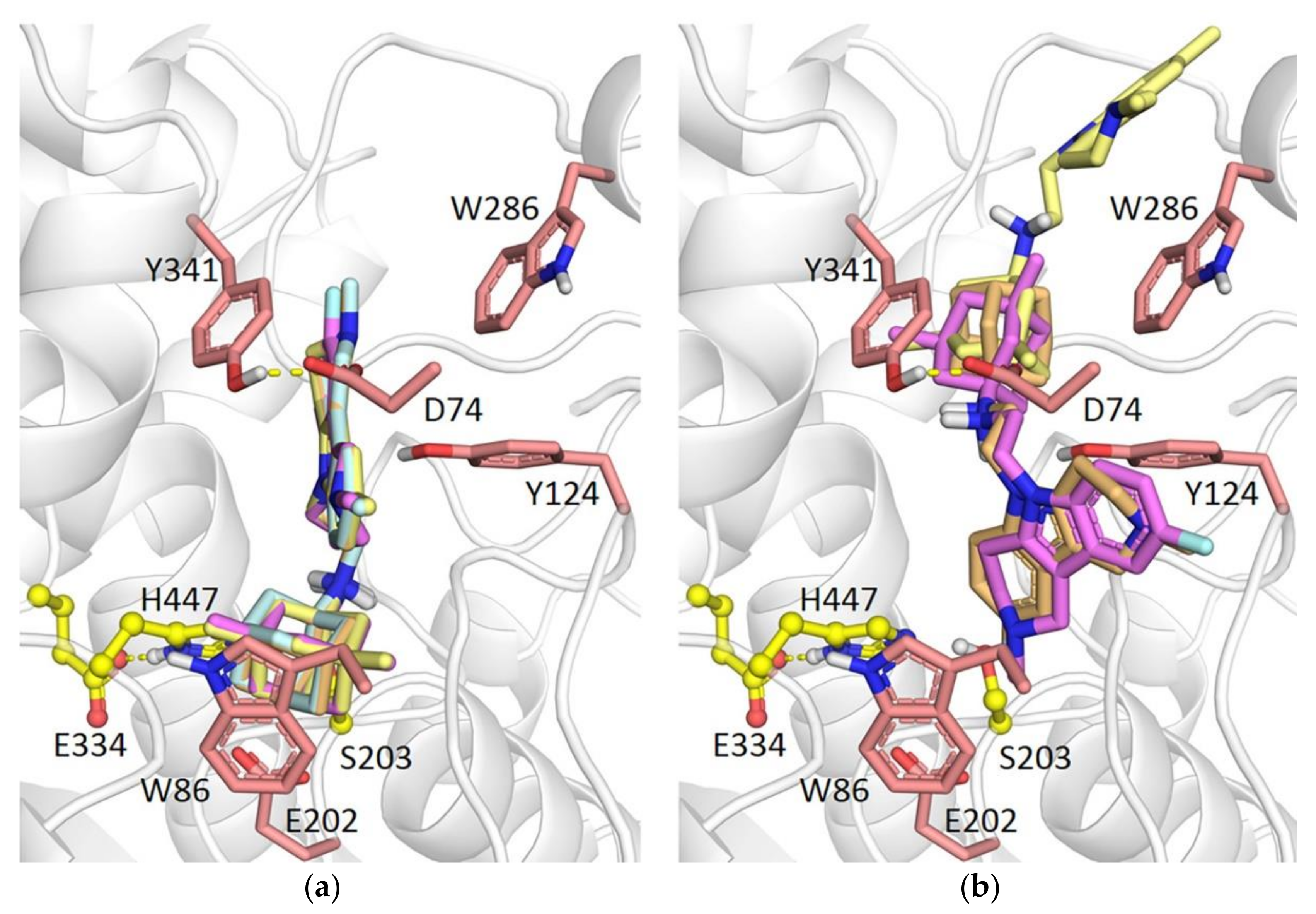 Molecules 26 05527 g005