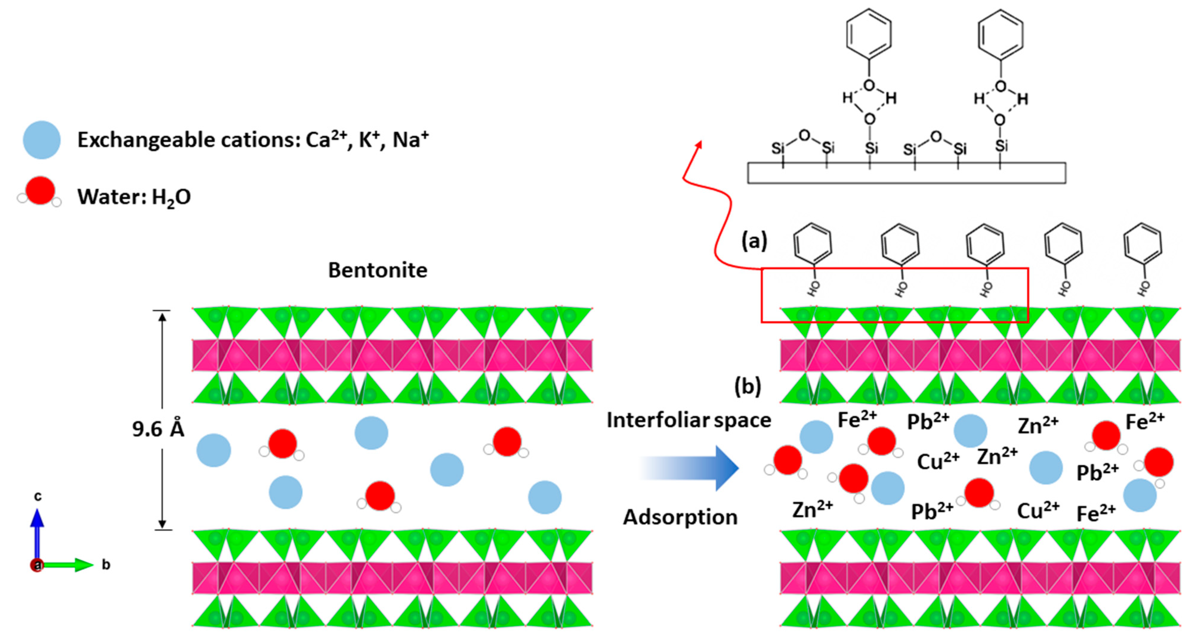 Molecules 26 05528 g012