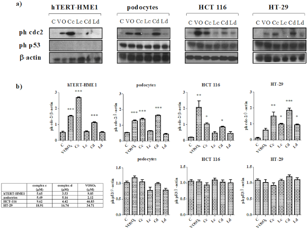 Molecules 26 05534 g004 Molecules 26 05534 g004