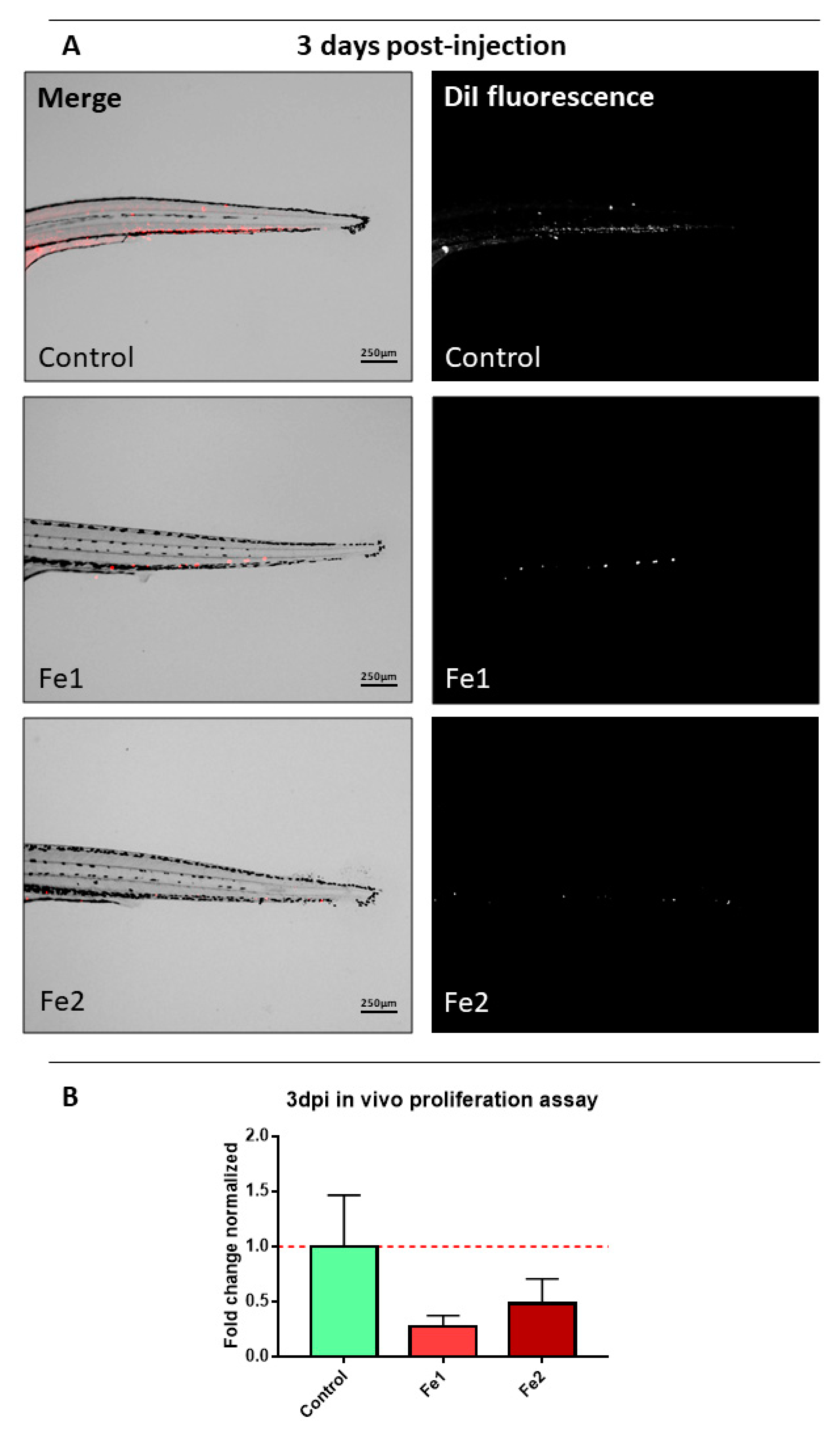 Molecules 26 05535 g008