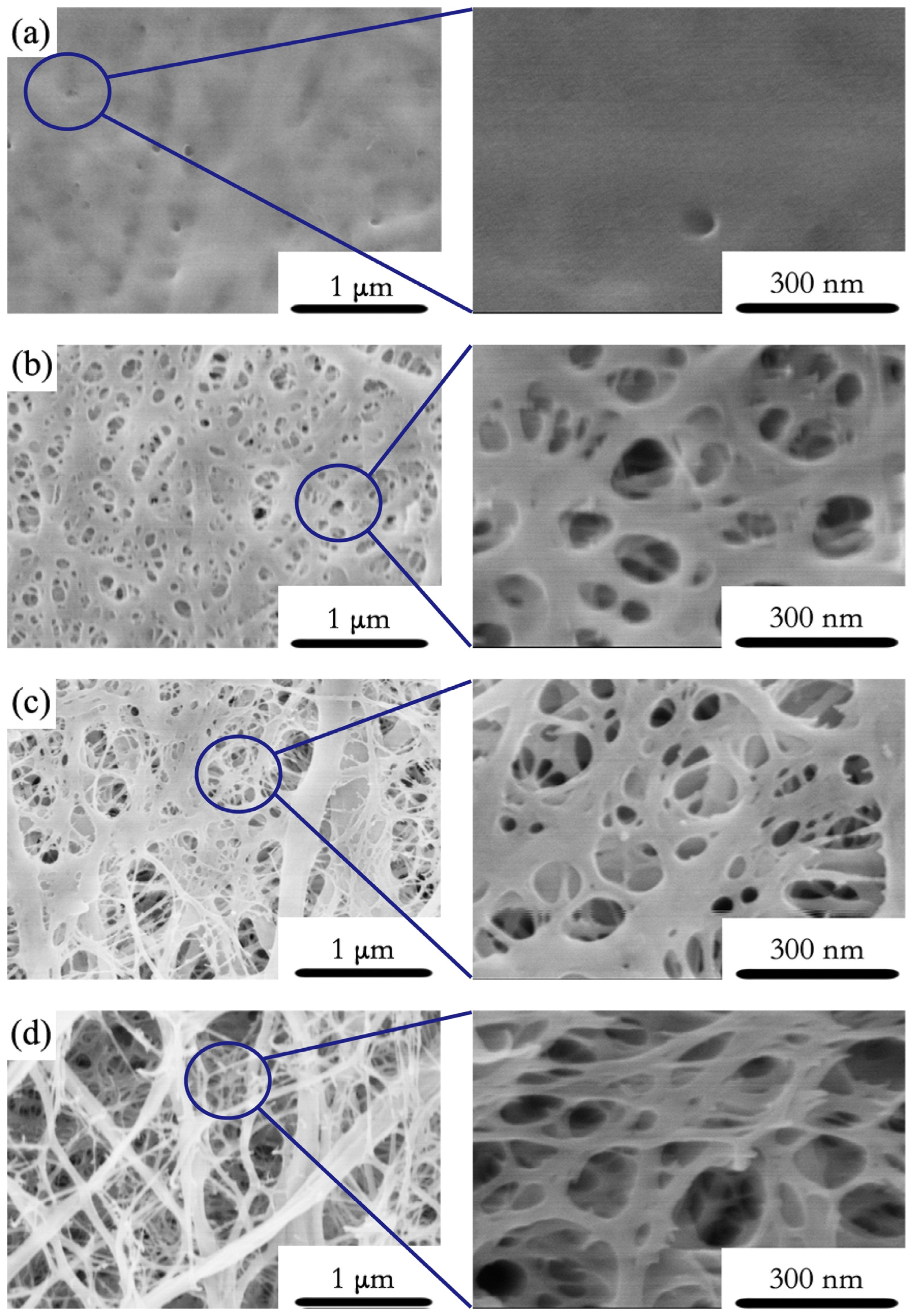 Molecules 26 05539 g002 Molecules 26 05539 g002