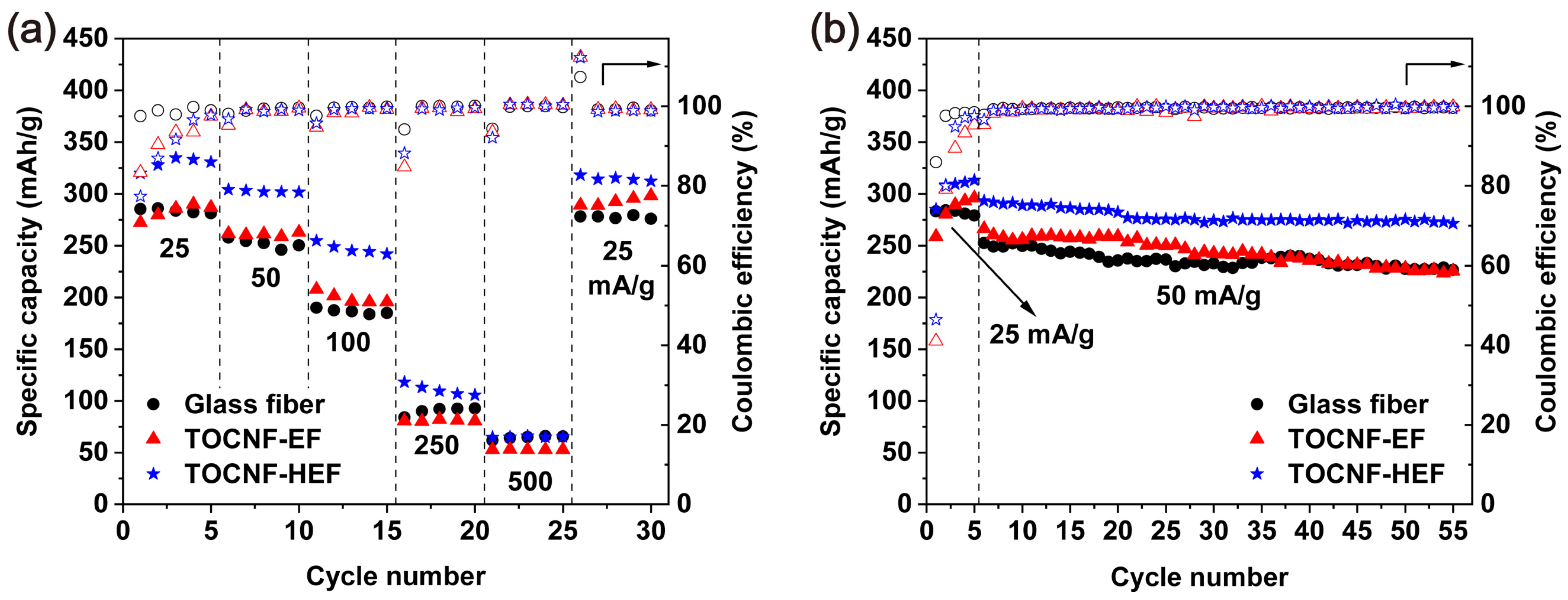 Molecules 26 05539 g006 Molecules 26 05539 g006