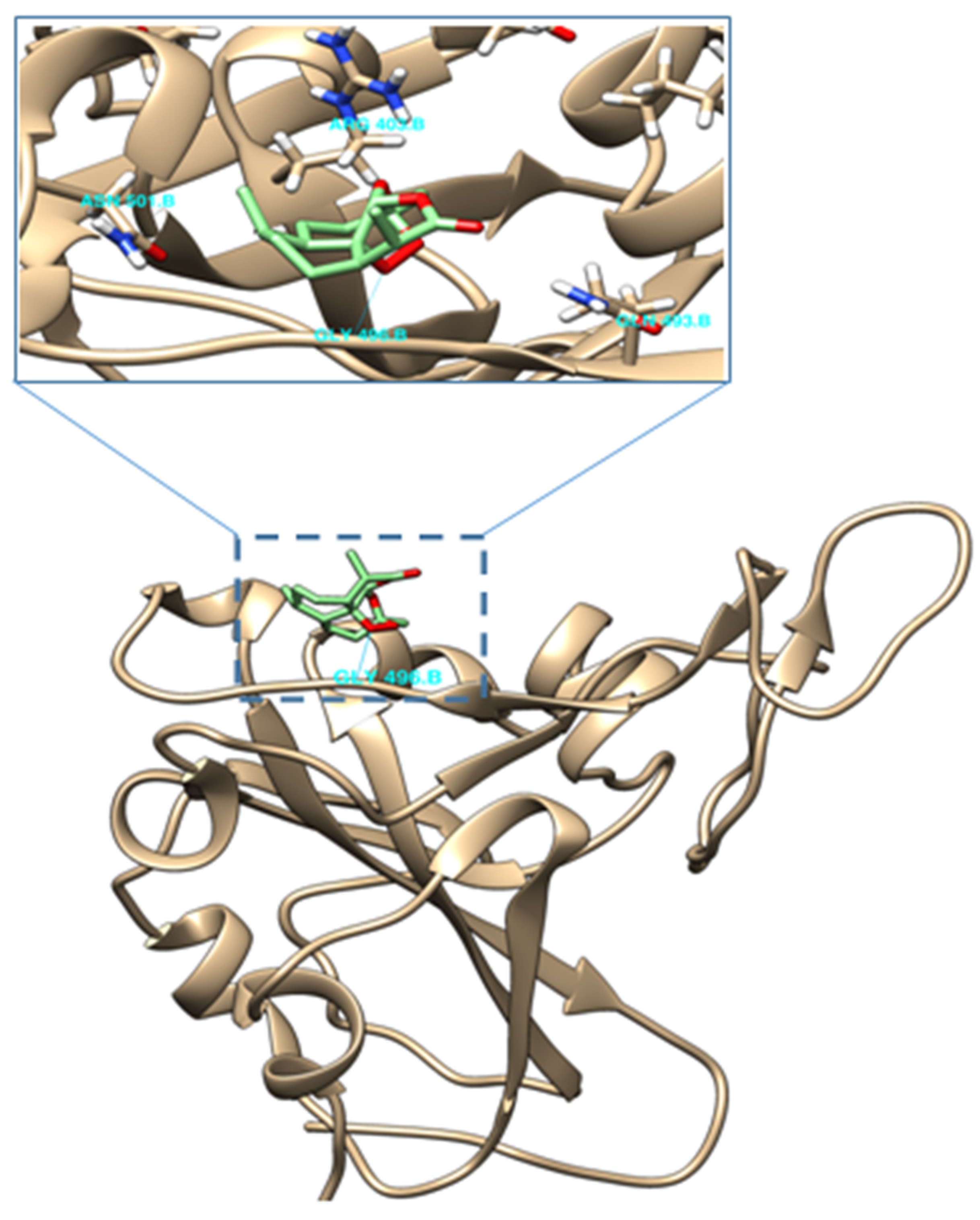 Molecules 26 05540 g005