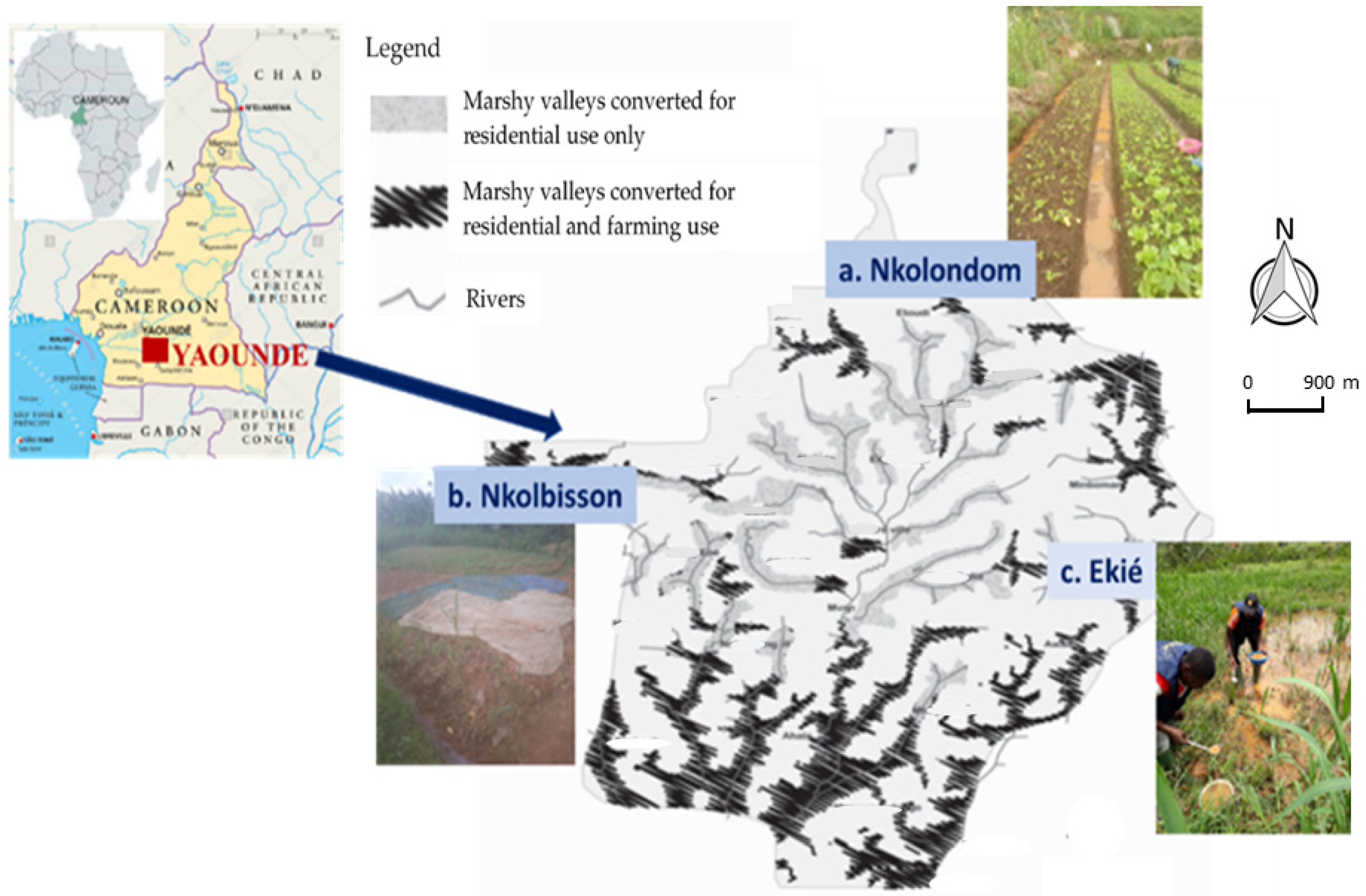 Molecules 26 05543 g001