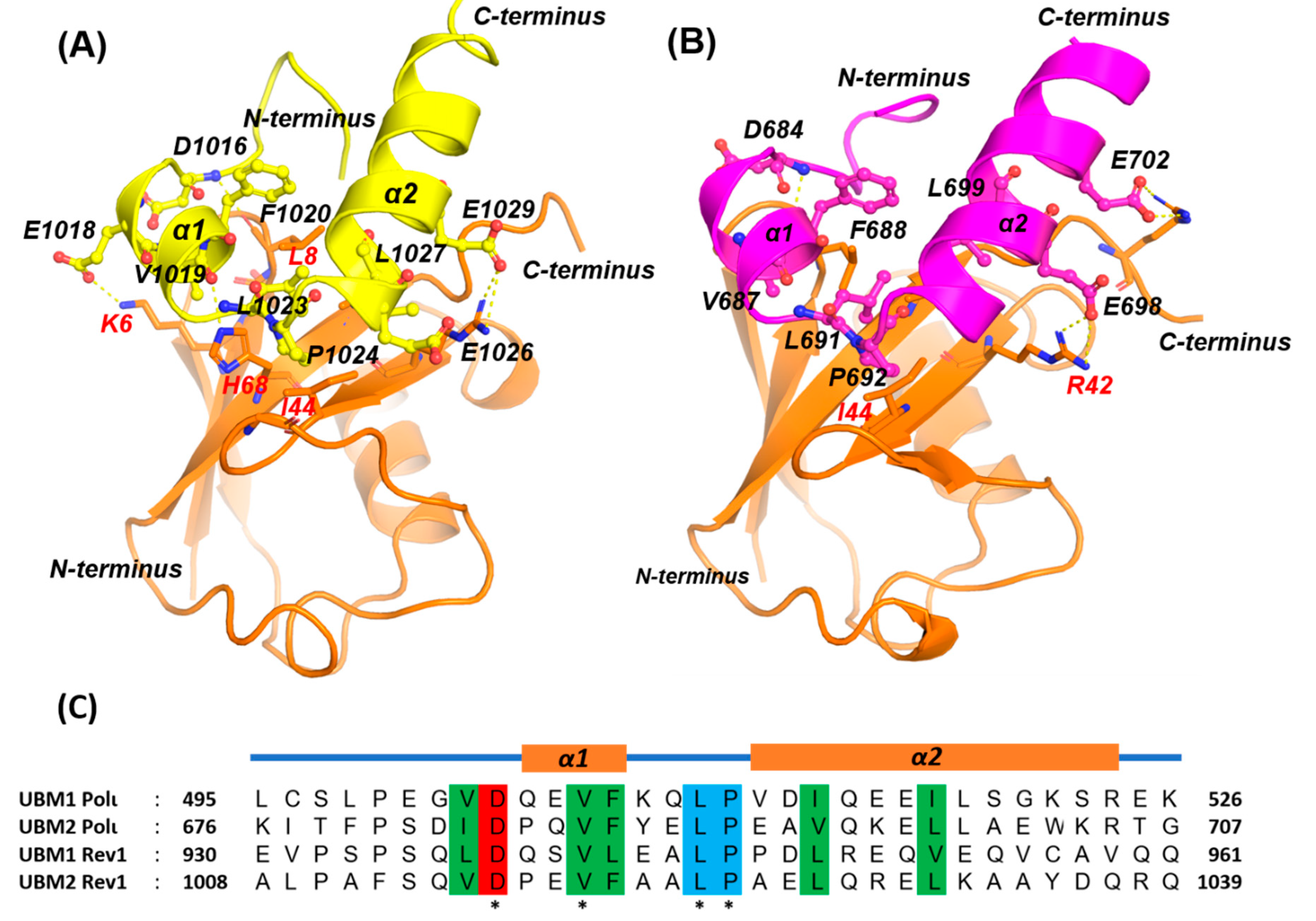Molecules 26 05544 g004