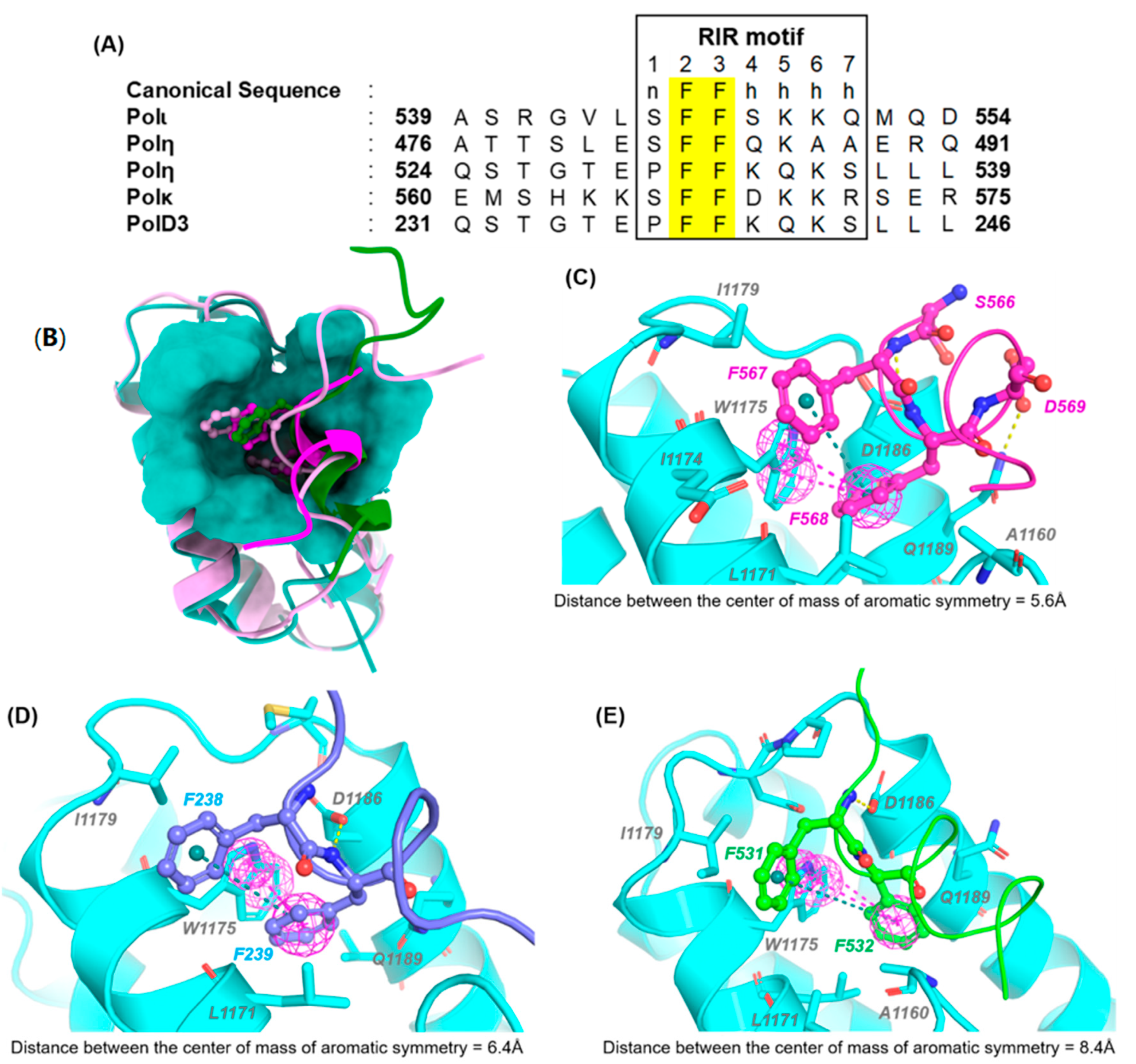 Molecules 26 05544 g006