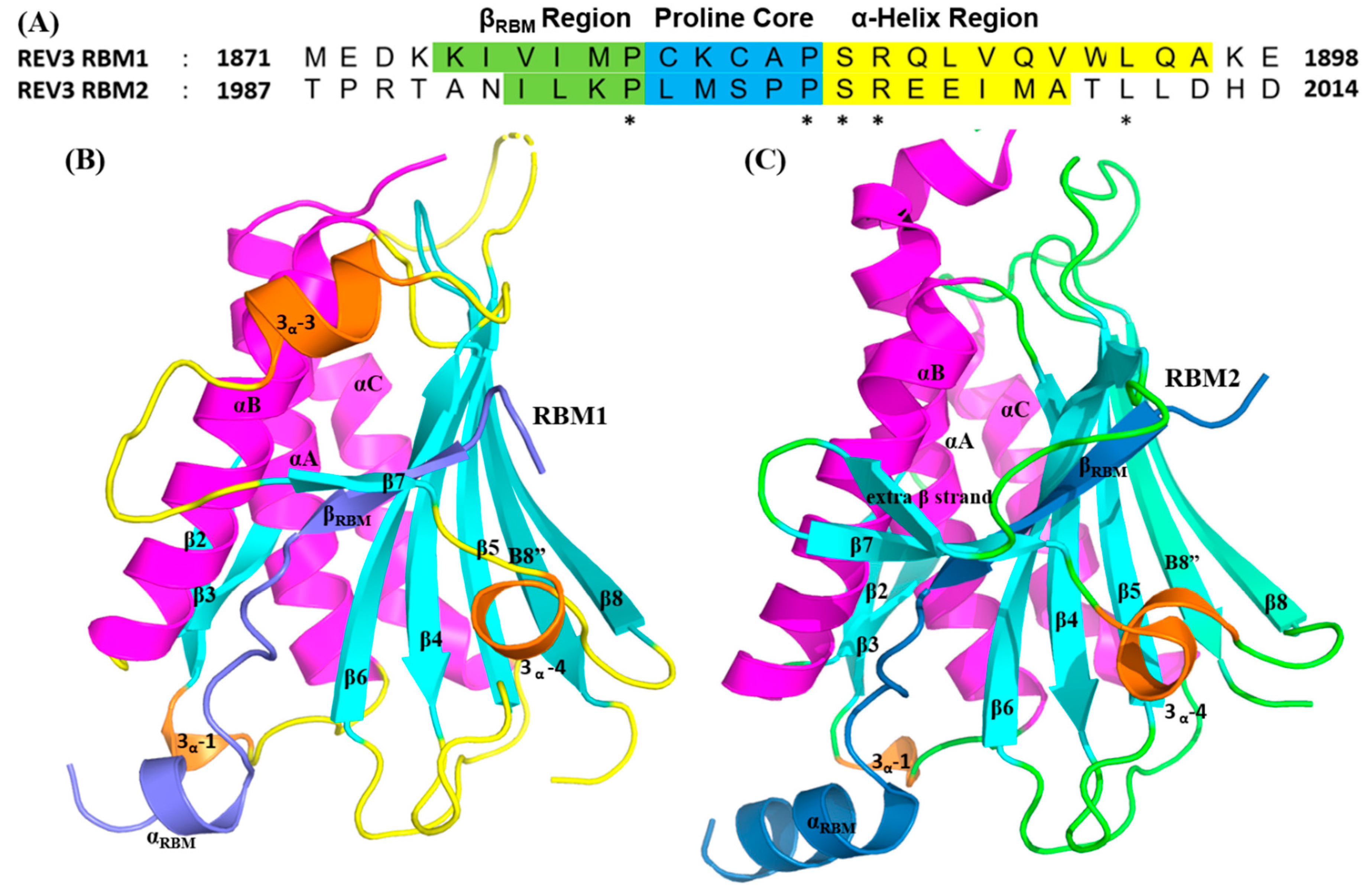 Molecules 26 05544 g007