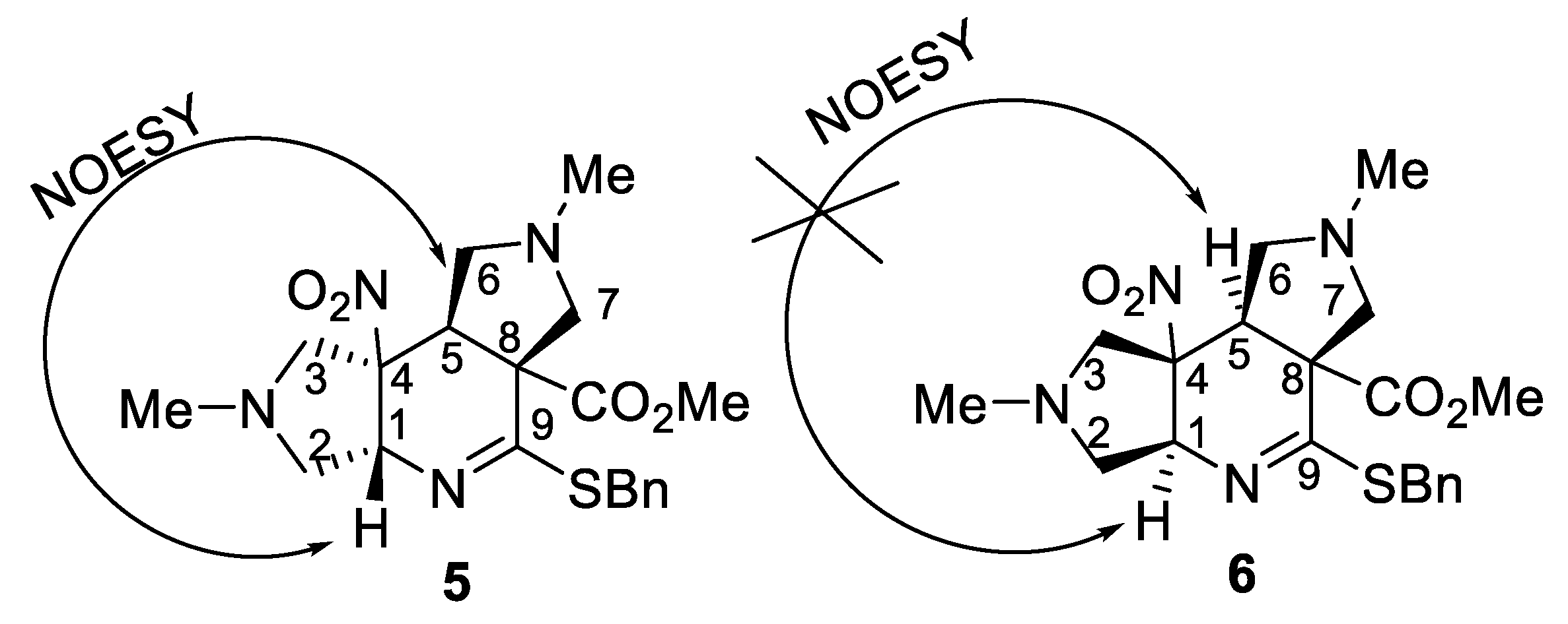 Molecules 26 05547 g001