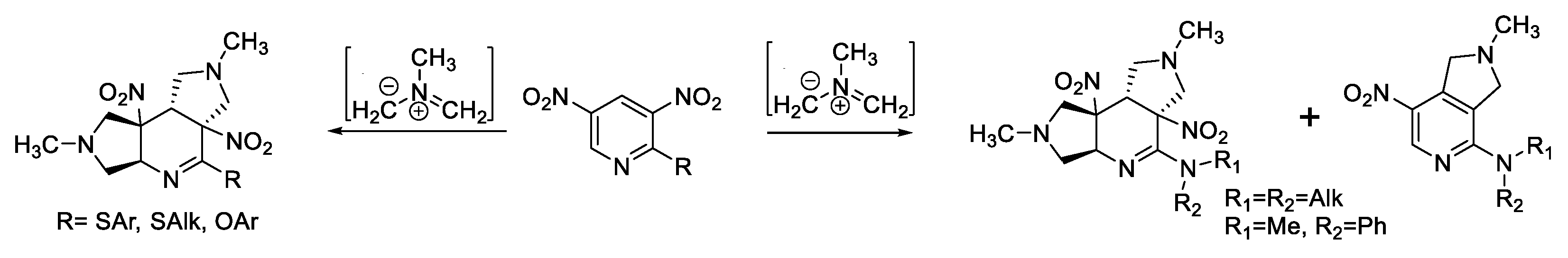 Molecules 26 05547 sch001