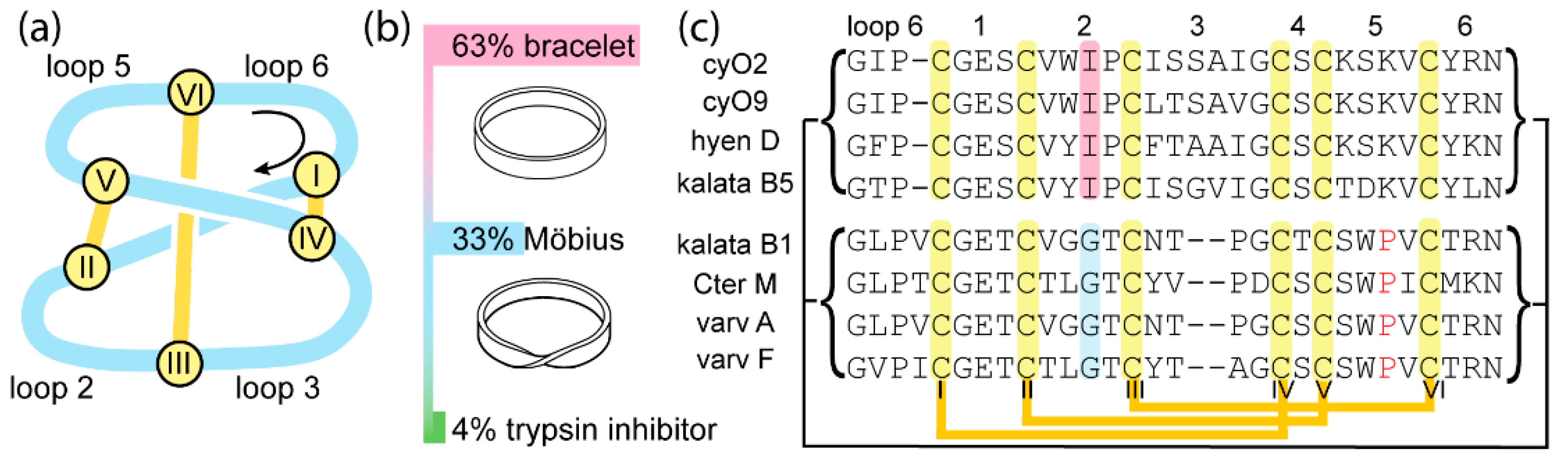Molecules 26 05554 g001