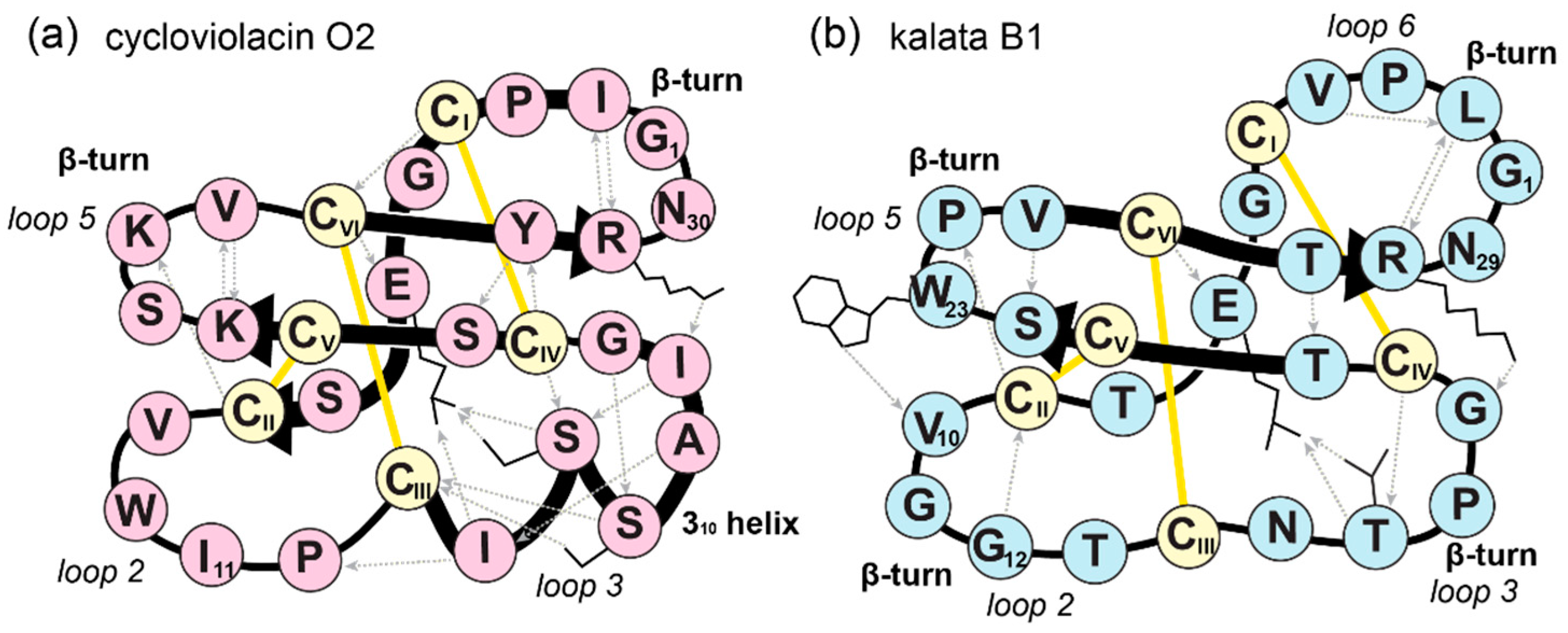 Molecules 26 05554 g005