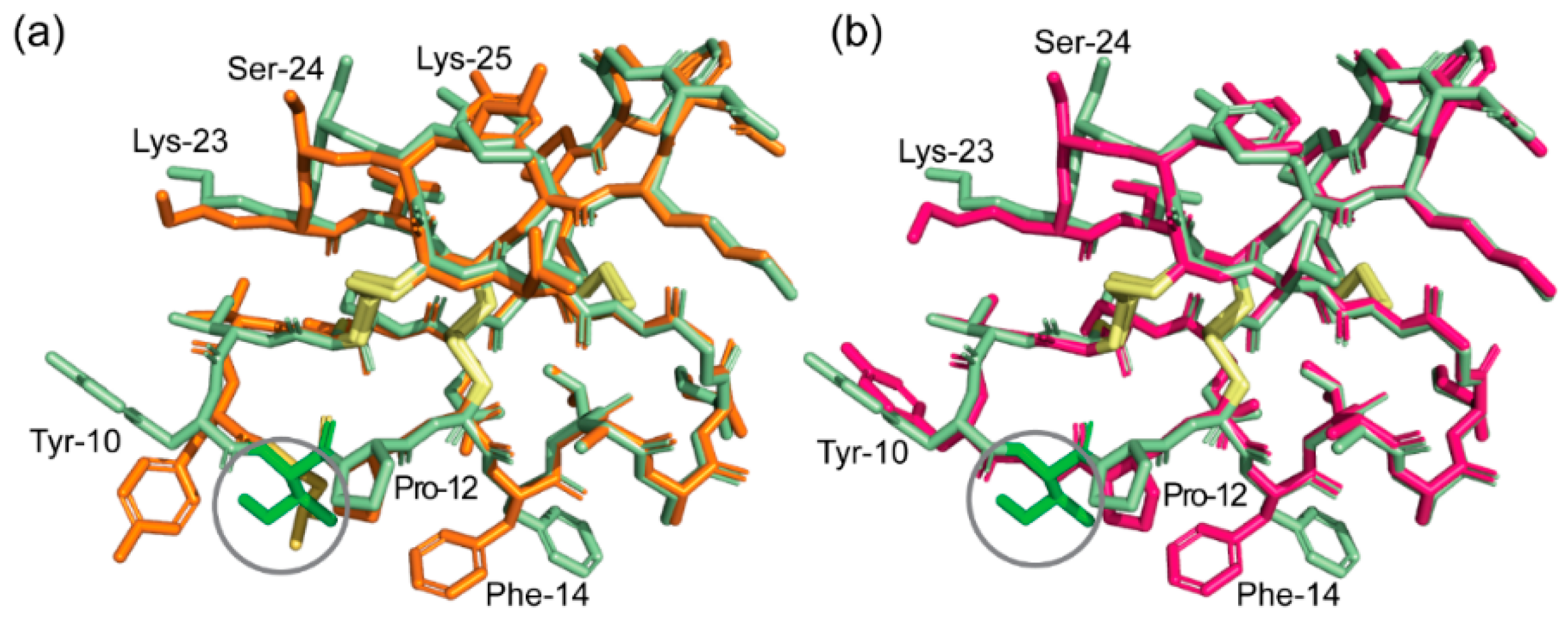 Molecules 26 05554 g007