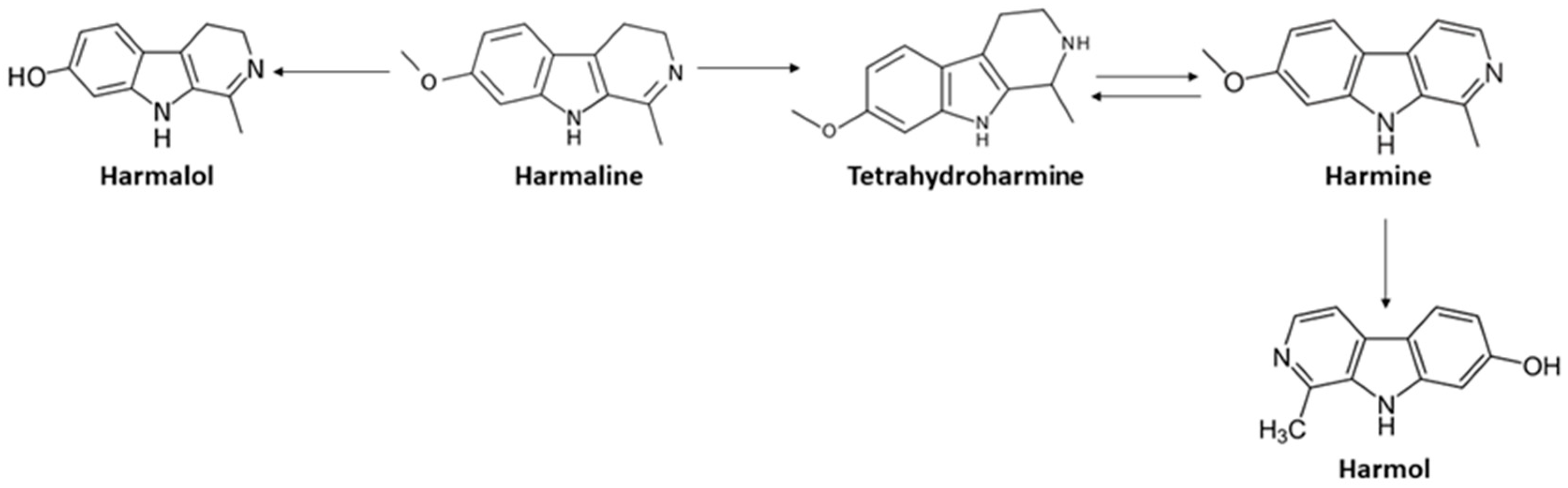Molecules 26 05555 g002