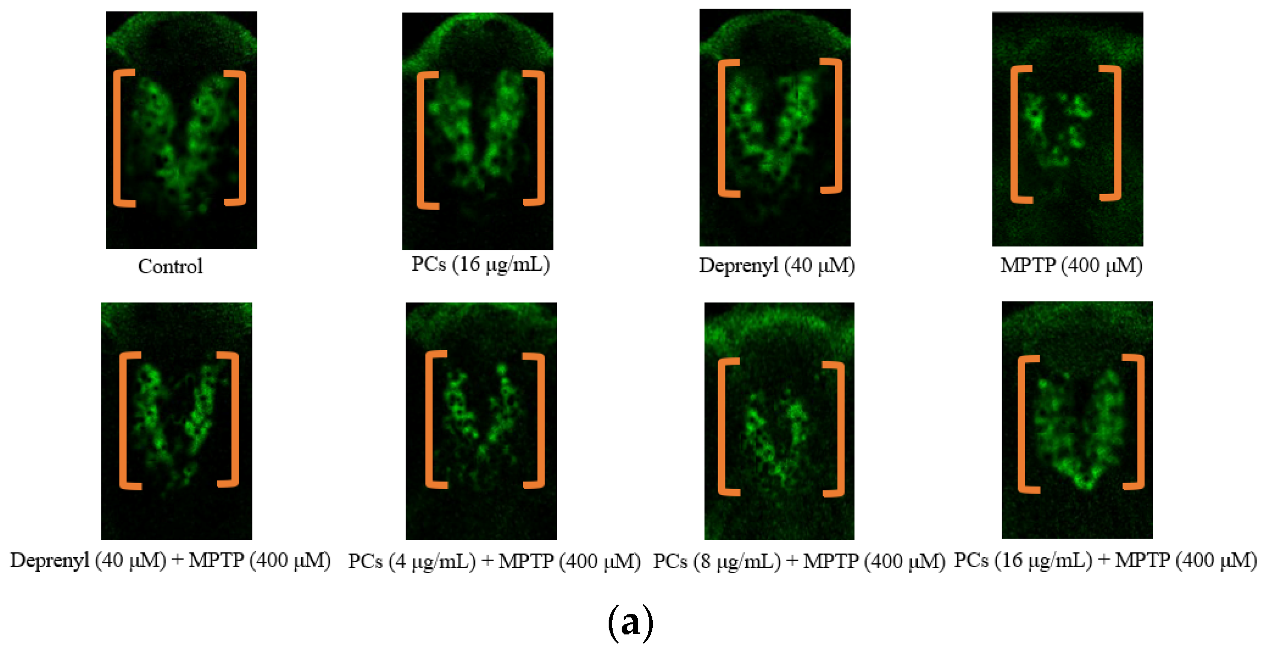 Molecules 26 05558 g006a