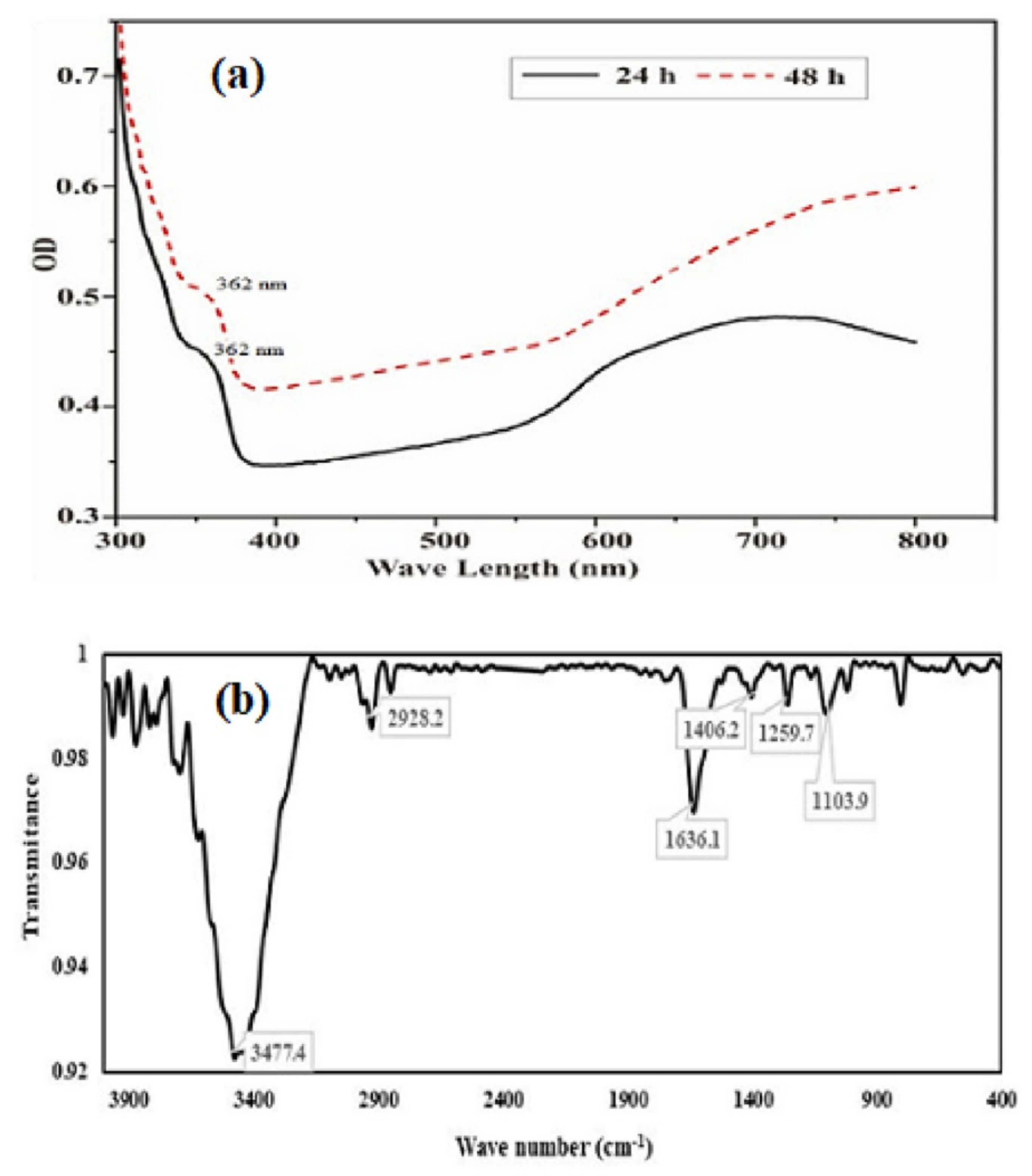 Molecules 26 05559 g004