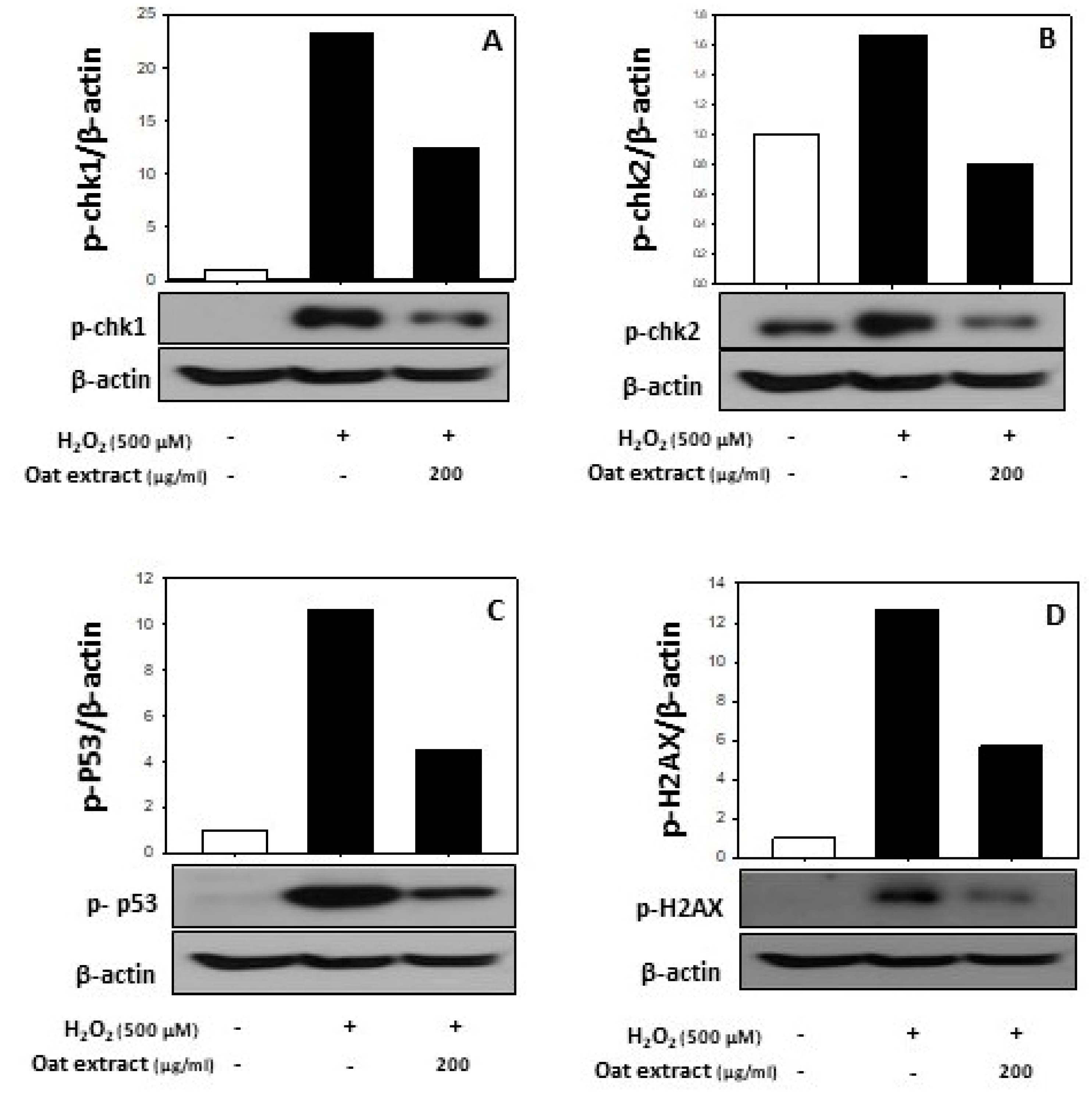 Molecules 26 05564 g004