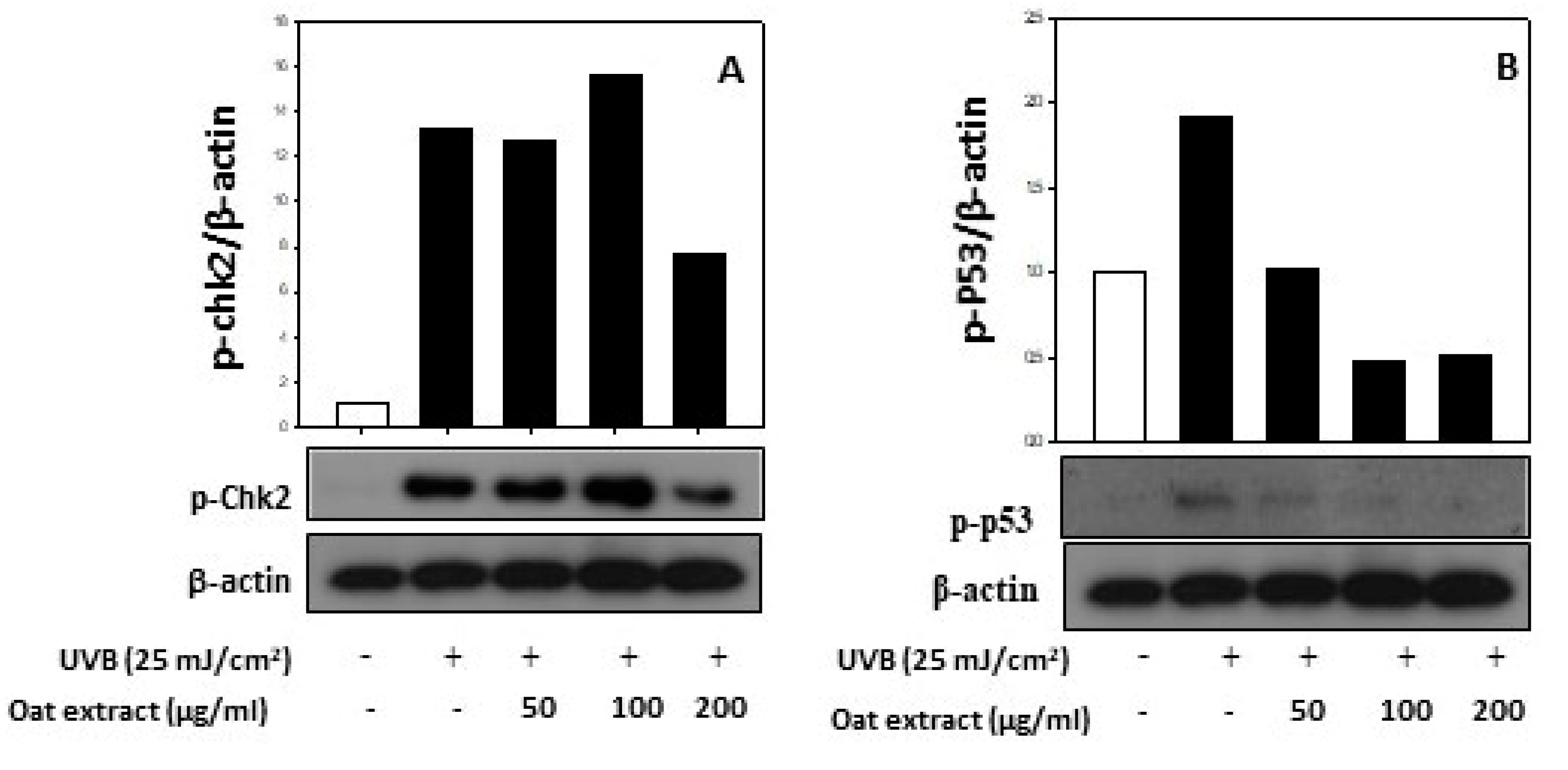 Molecules 26 05564 g005