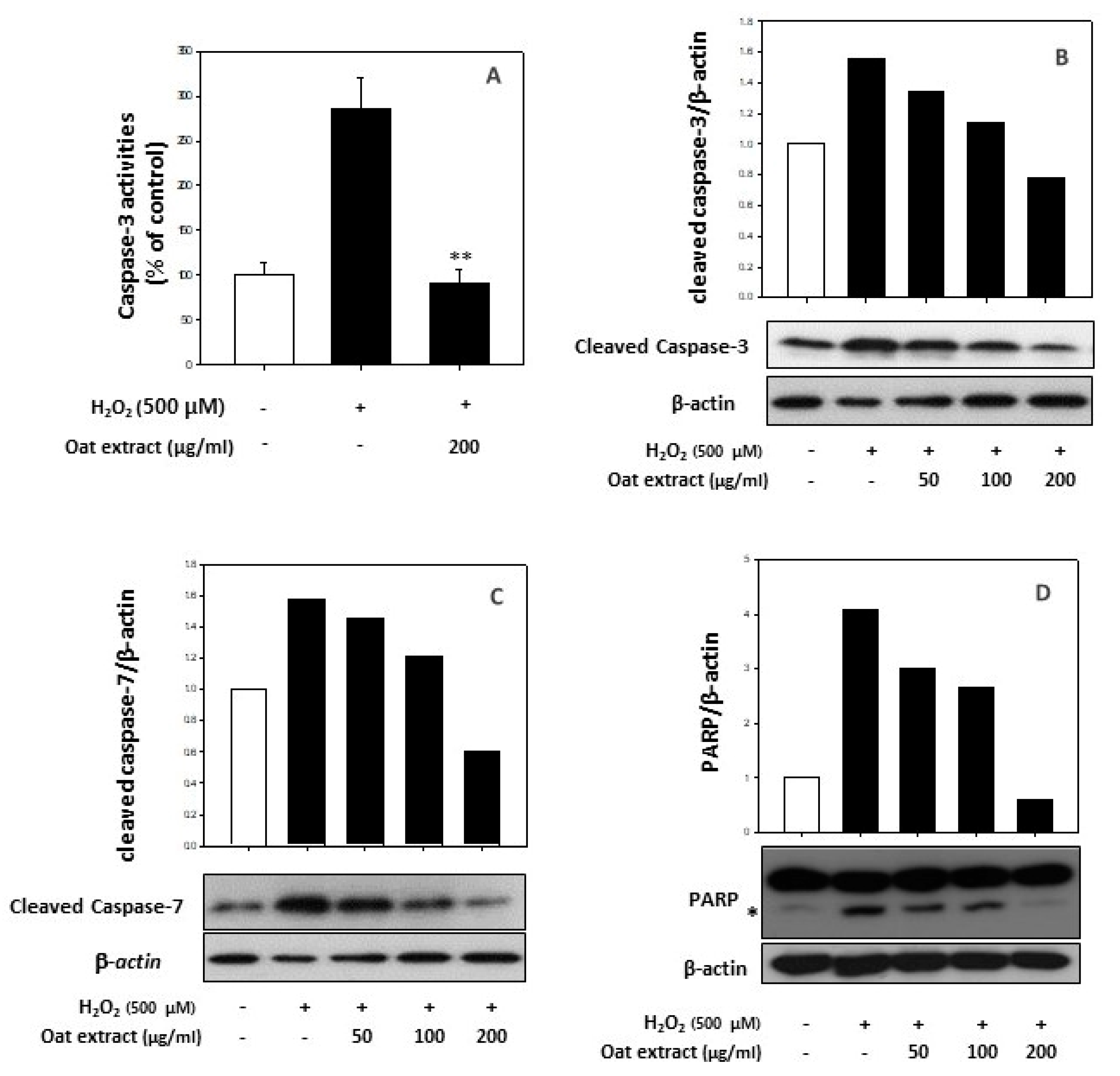 Molecules 26 05564 g006