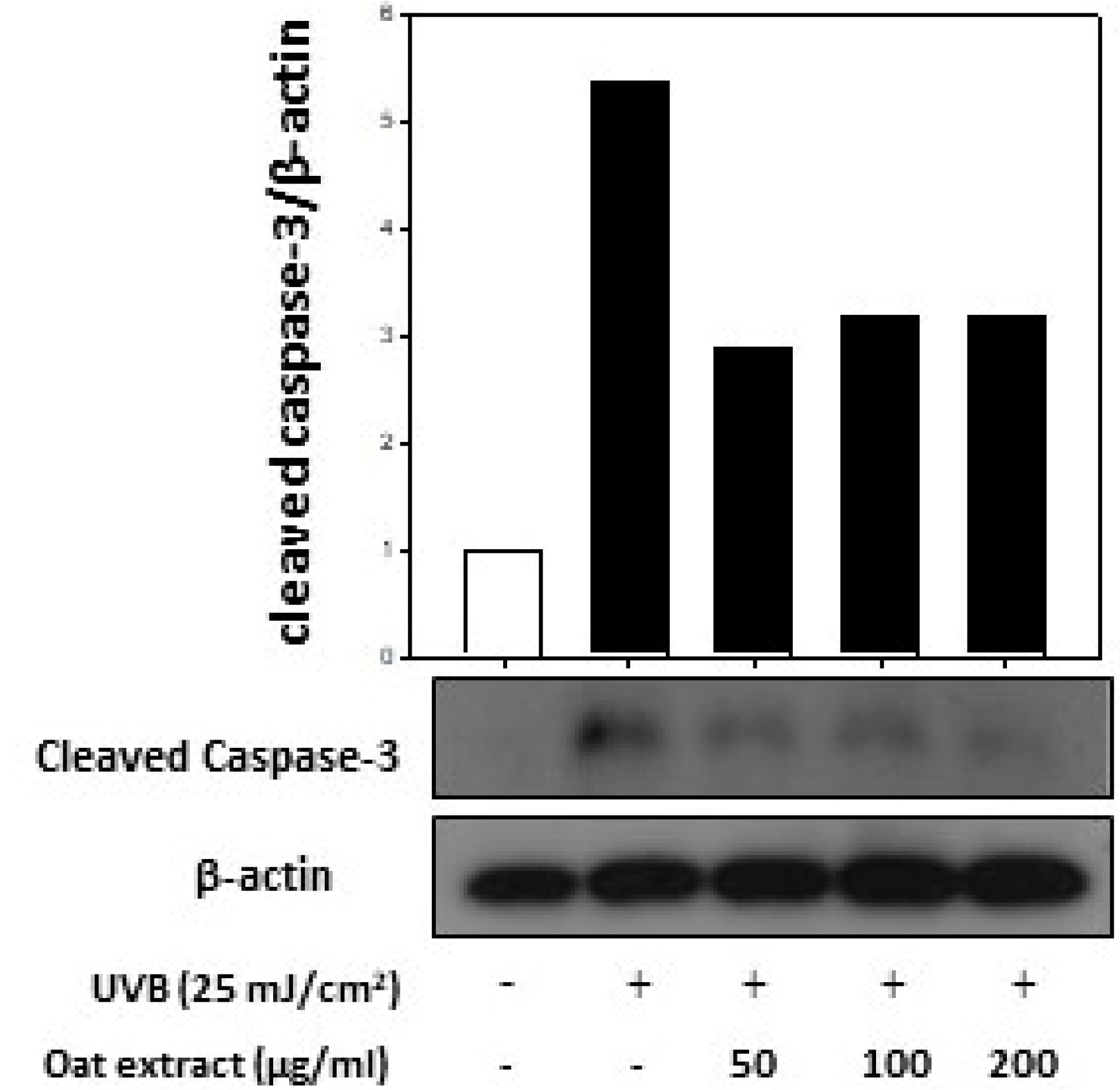 Molecules 26 05564 g007