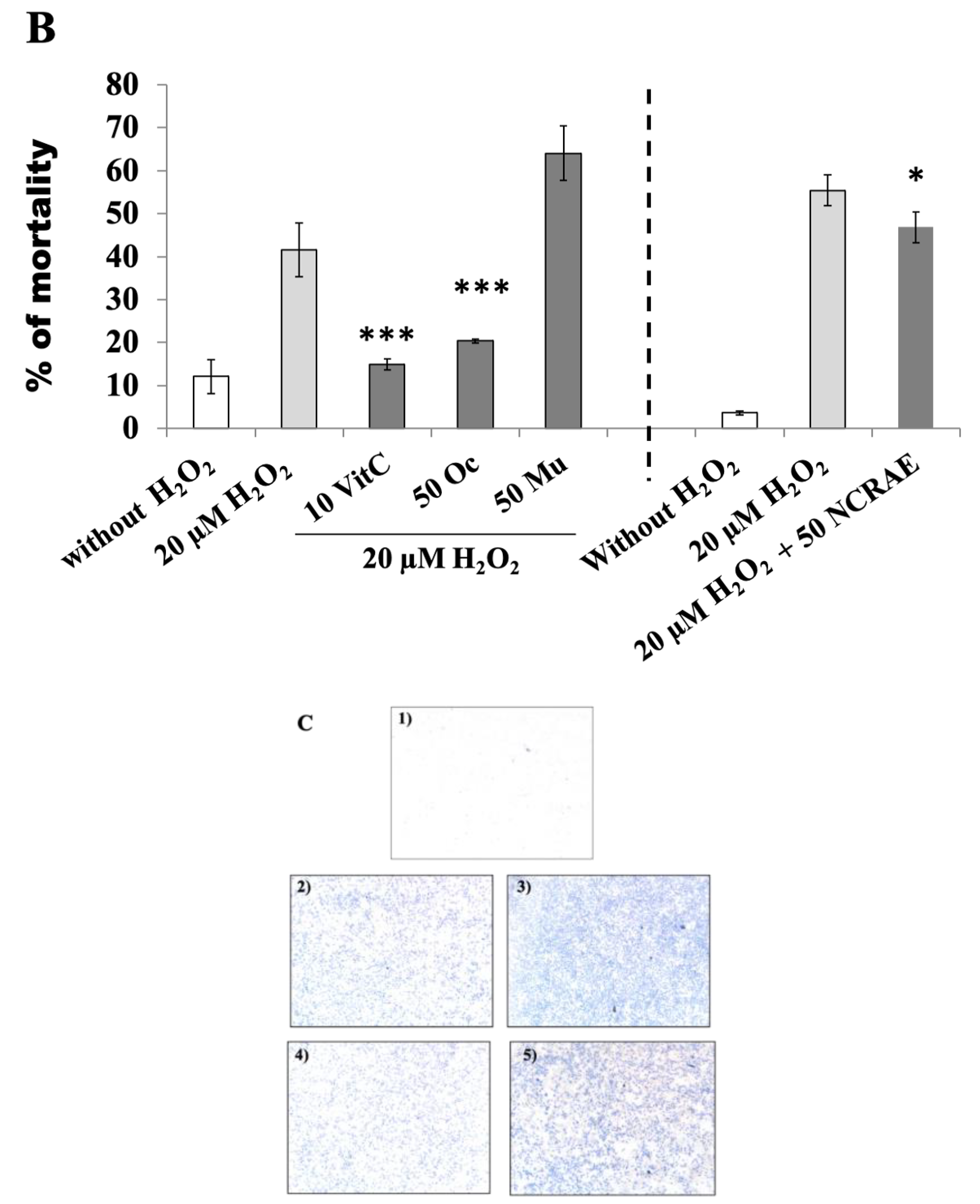 Molecules 26 05566 g004b