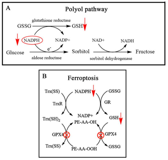 Molecules 26 05567 g003 550