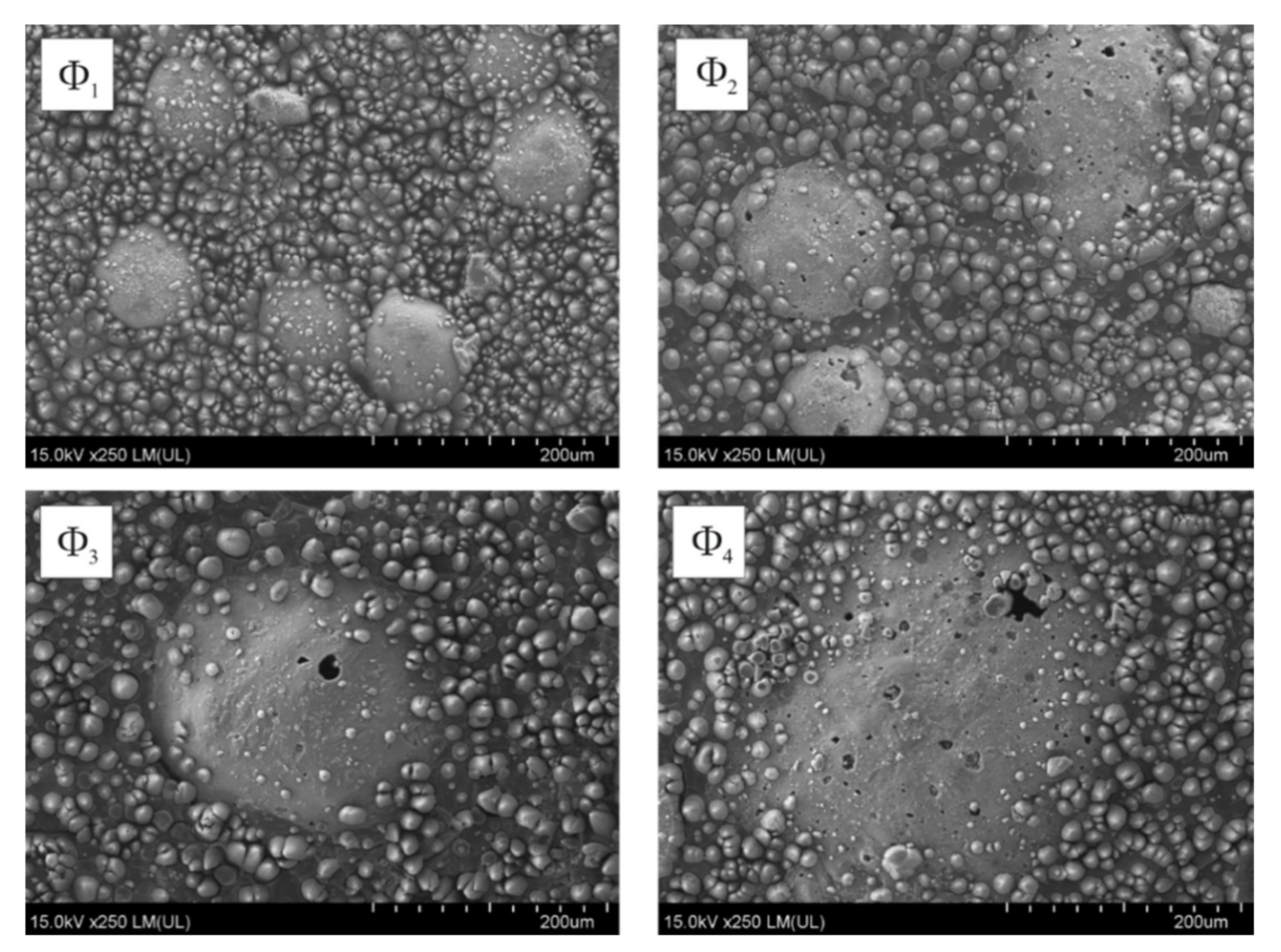 Molecules 26 05571 g005