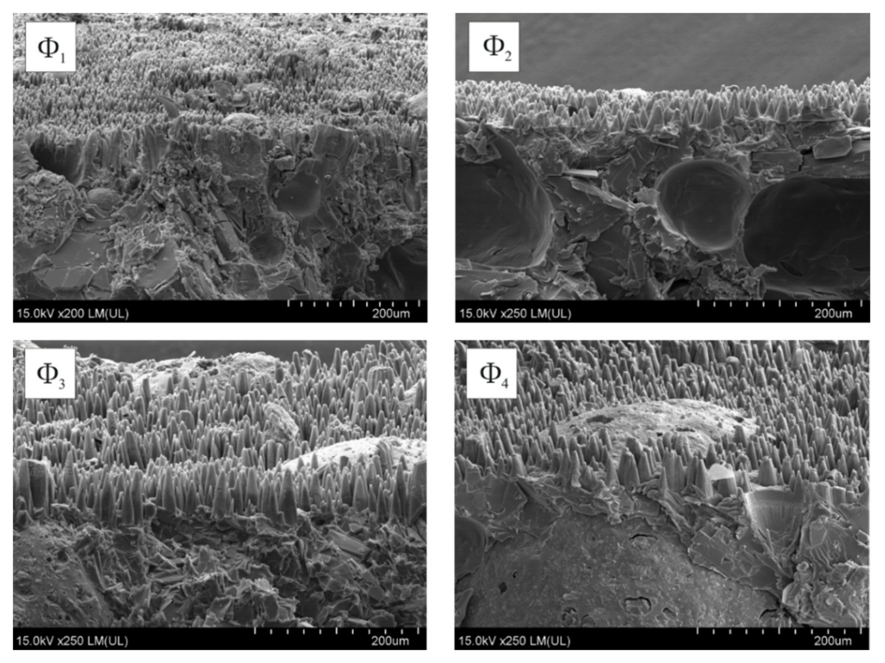 Molecules 26 05571 g006