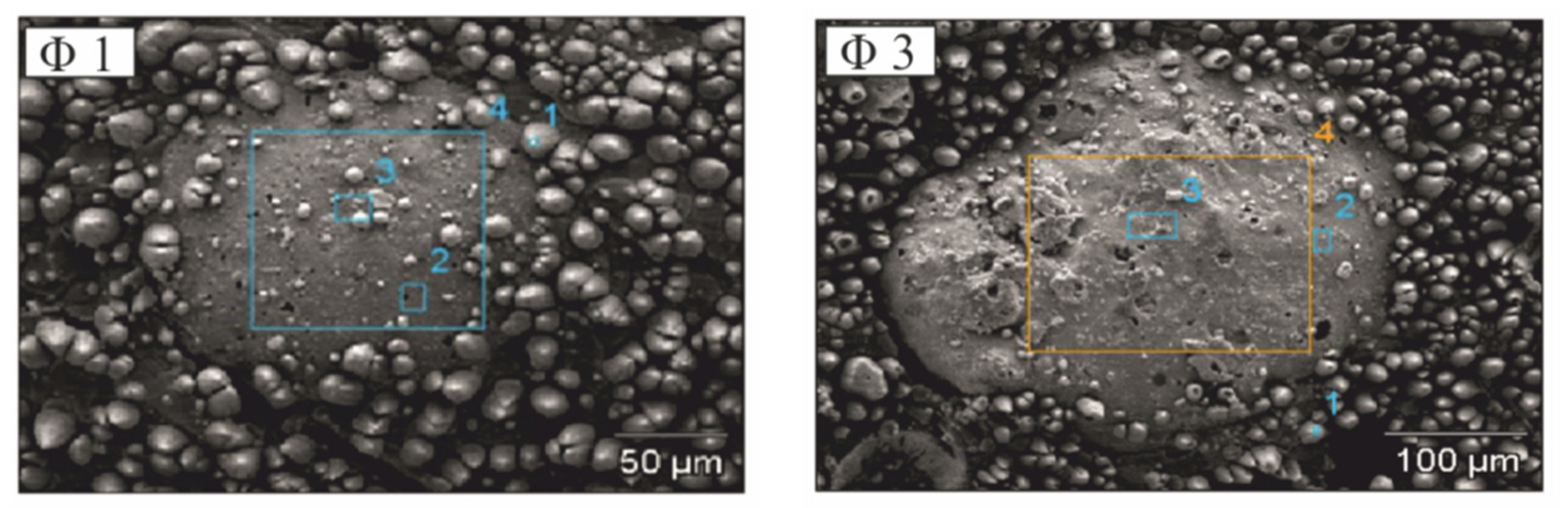 Molecules 26 05571 g007