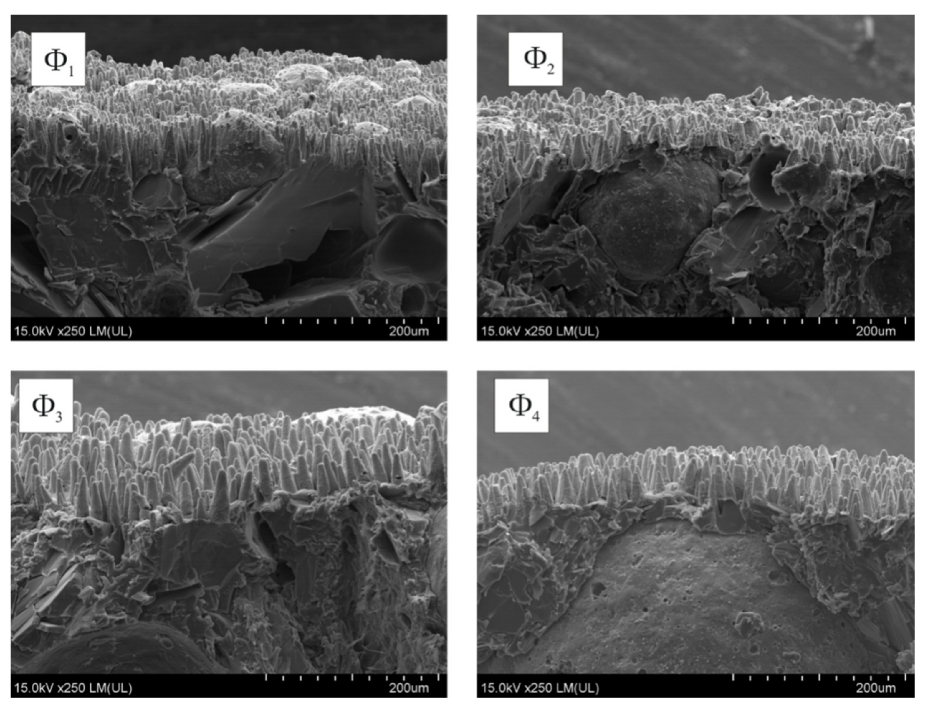 Molecules 26 05571 g008