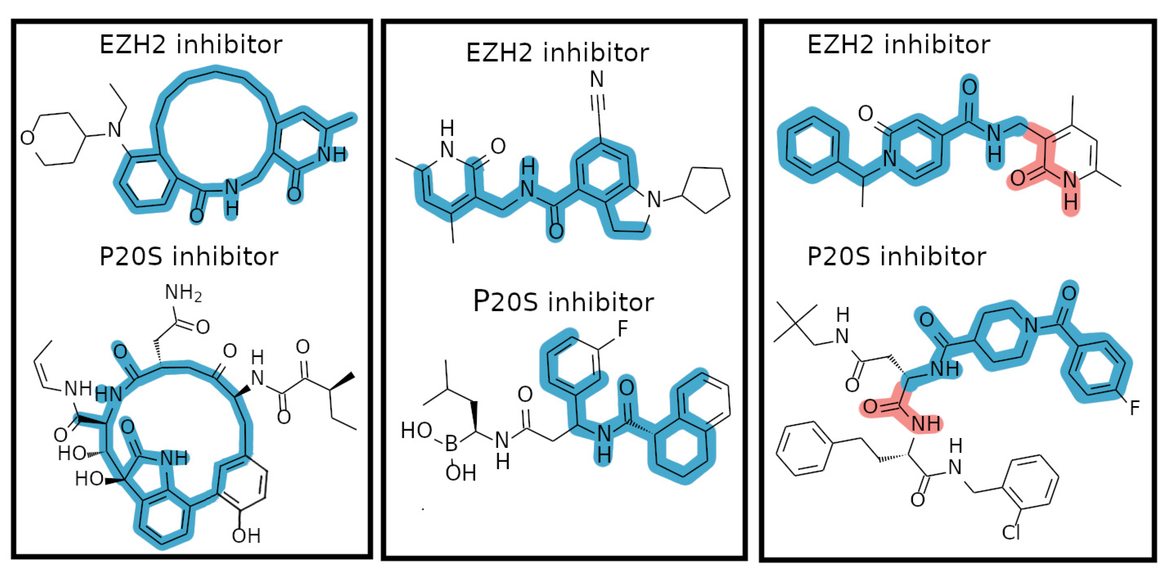 Molecules 26 05574 g004