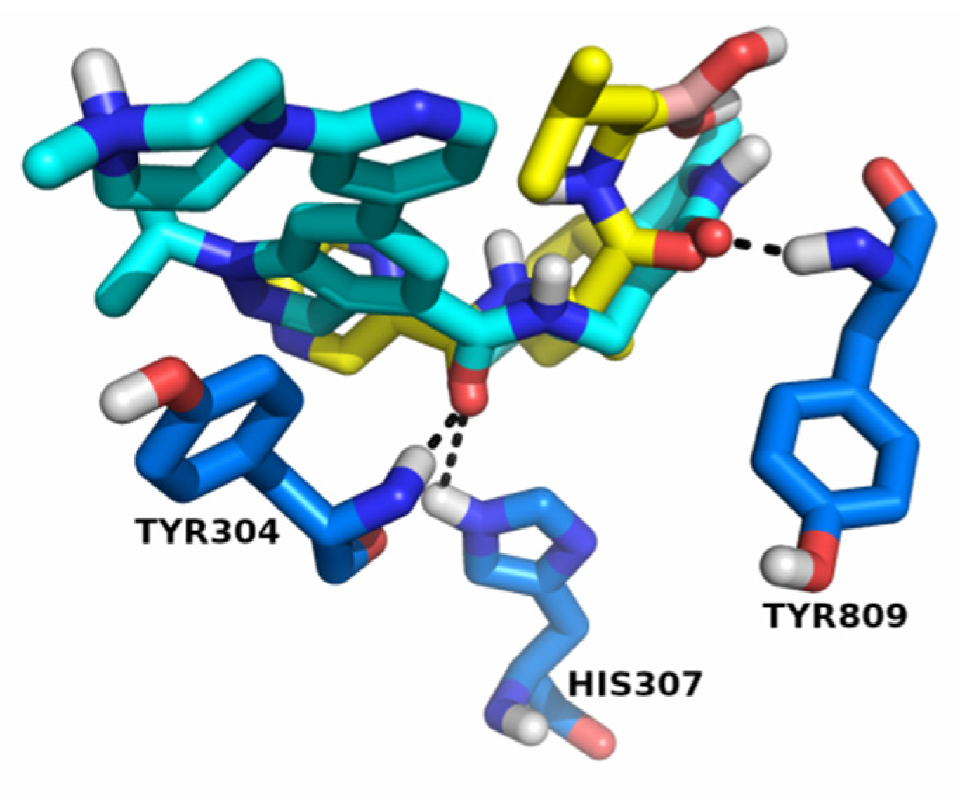 Molecules 26 05574 g008