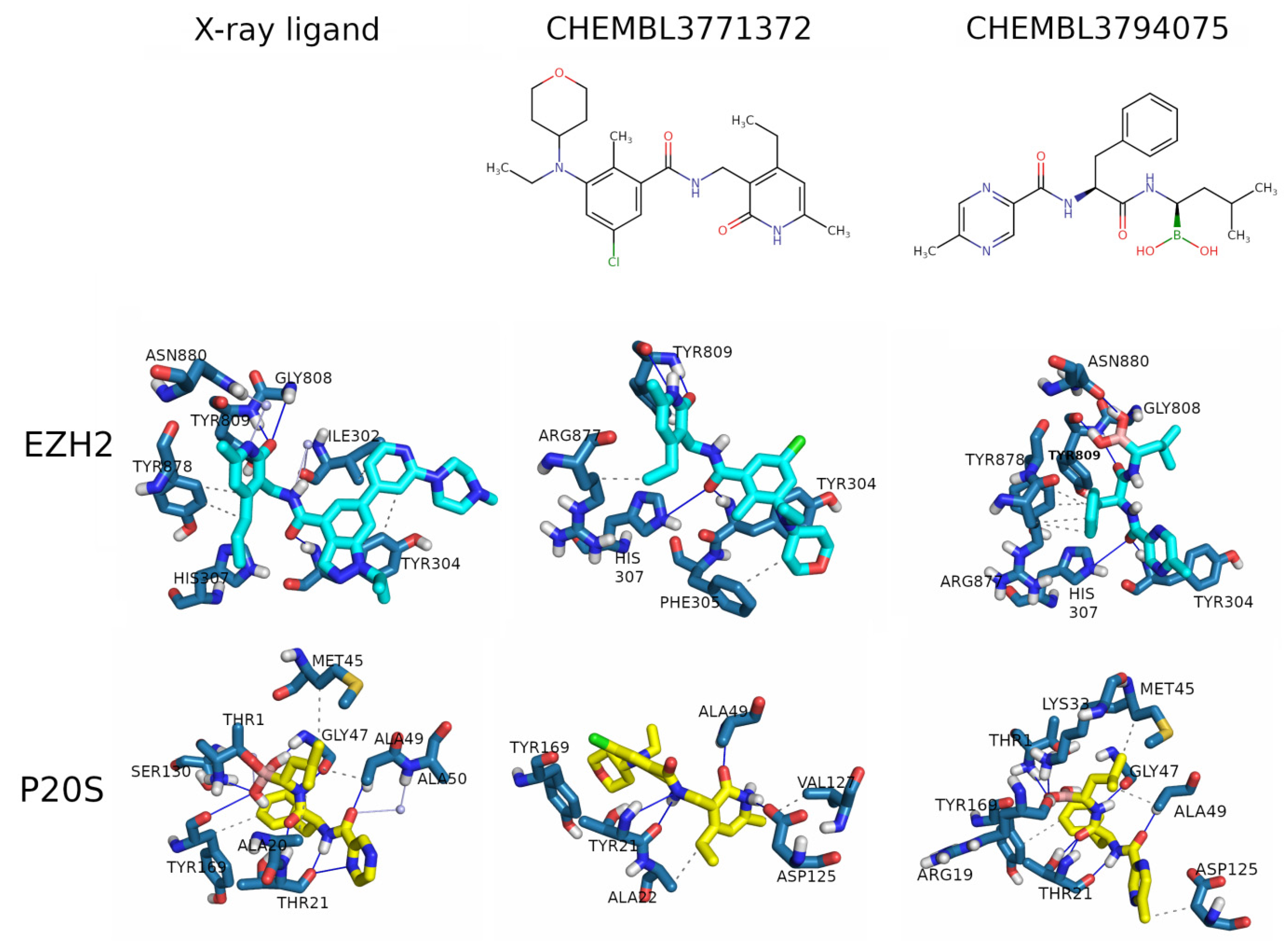 Molecules 26 05574 g012