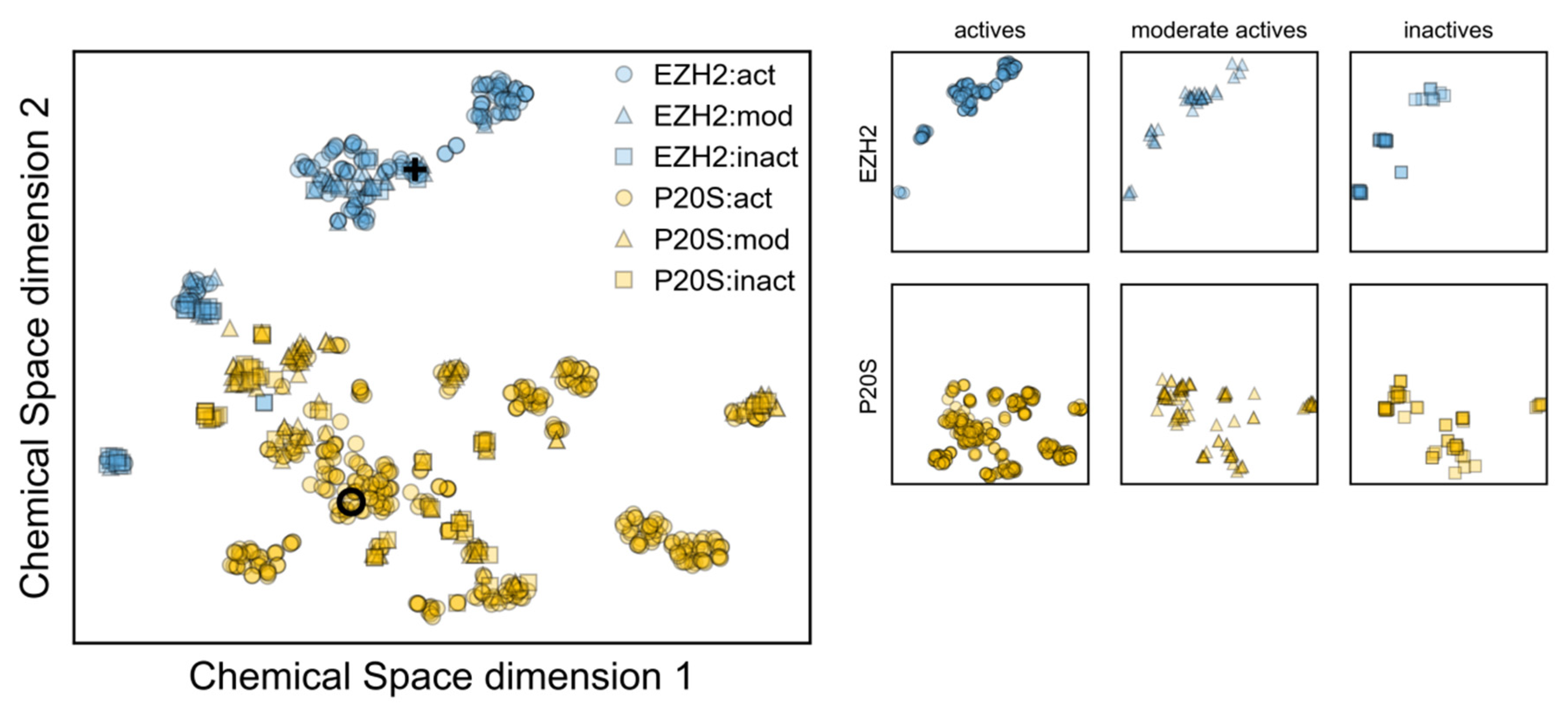 Molecules 26 05574 g013