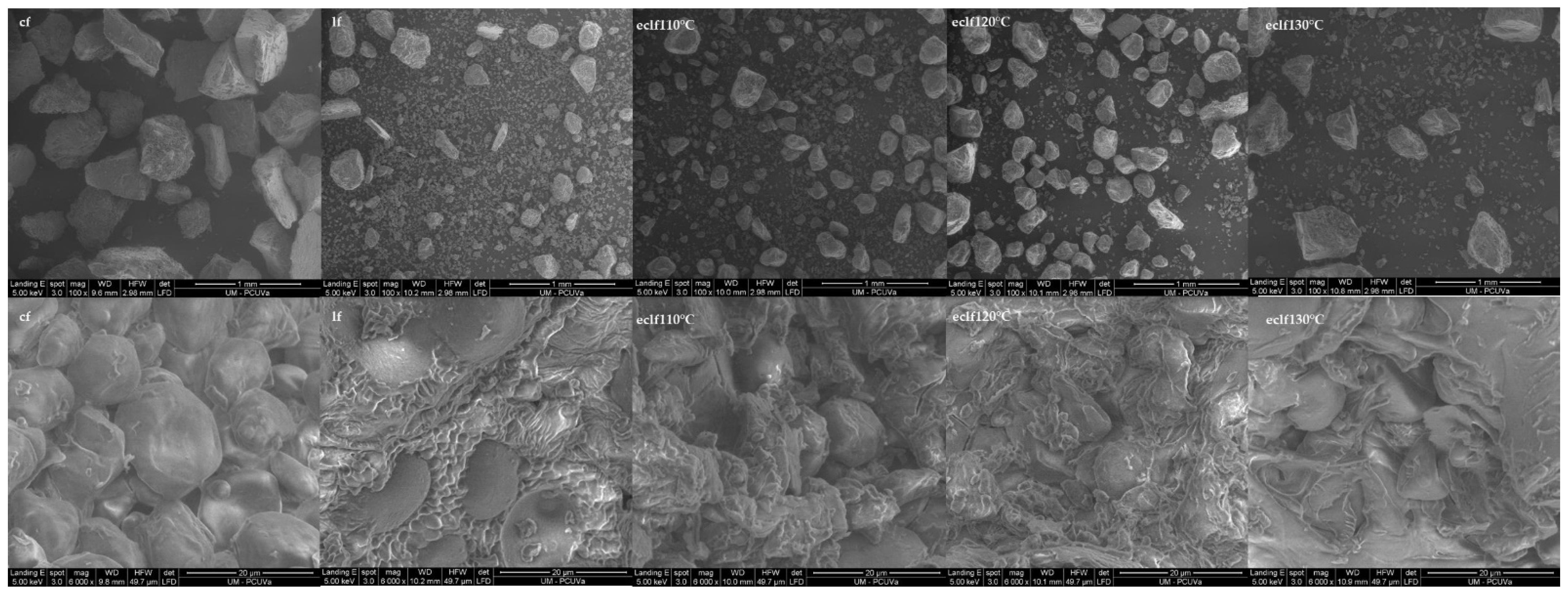 Molecules 26 05578 g005