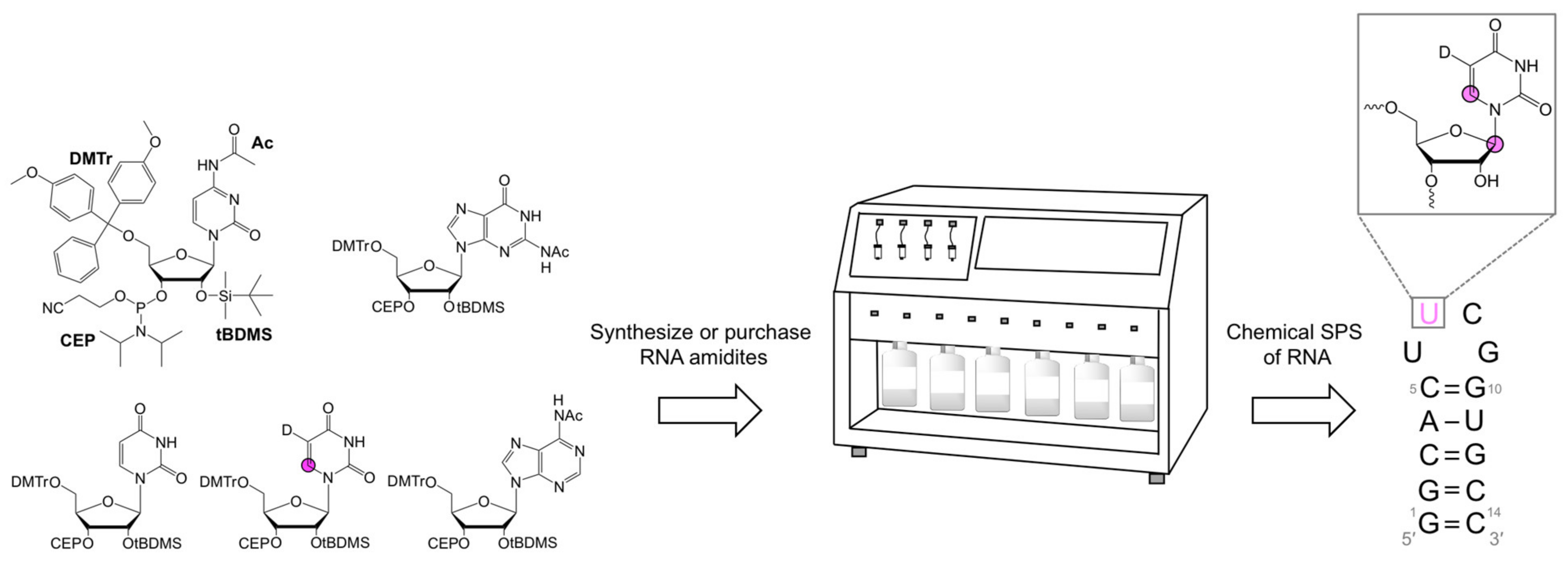 Molecules 26 05581 g004 Molecules 26 05581 g004