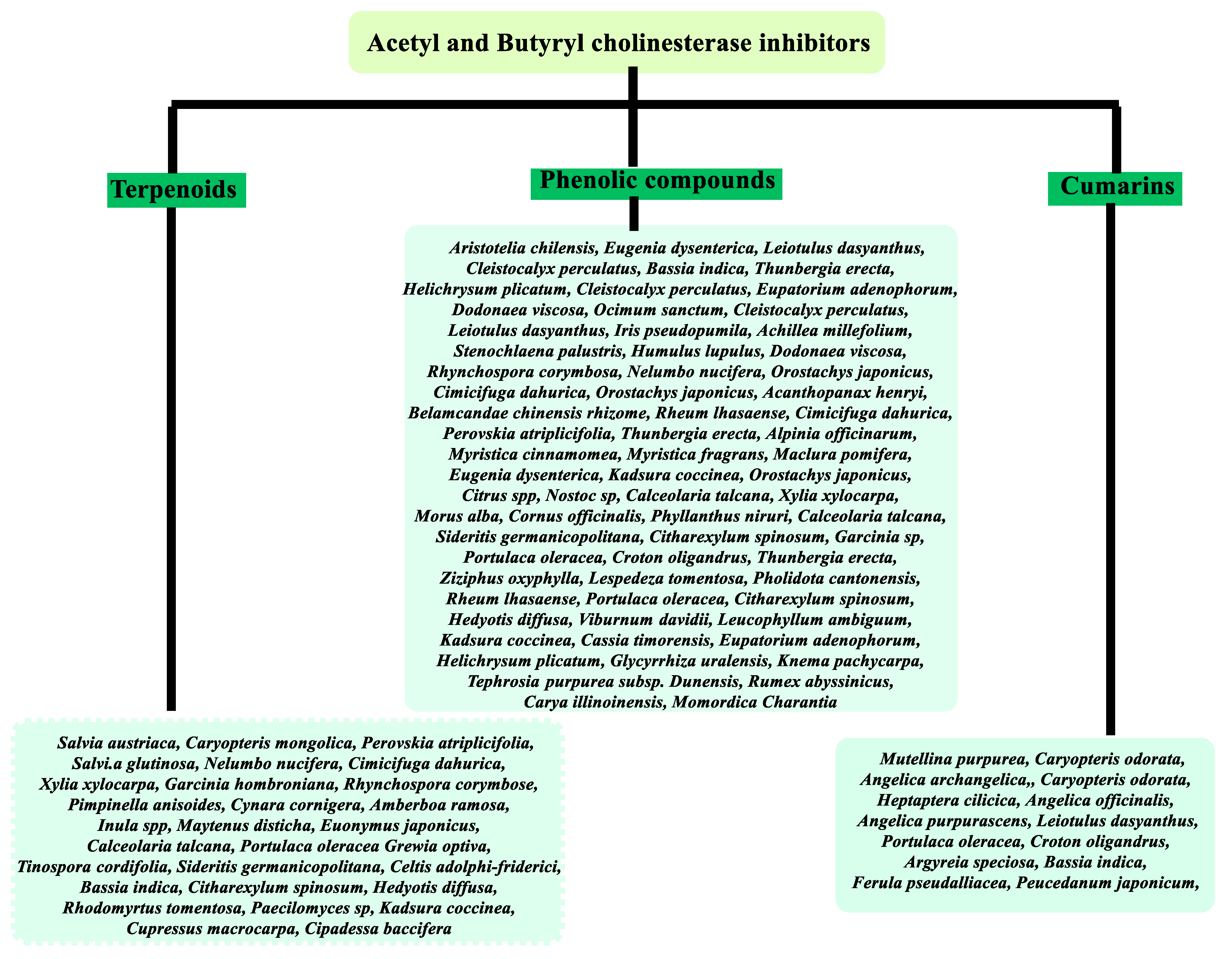 Molecules 26 05582 g001 Molecules 26 05582 g001