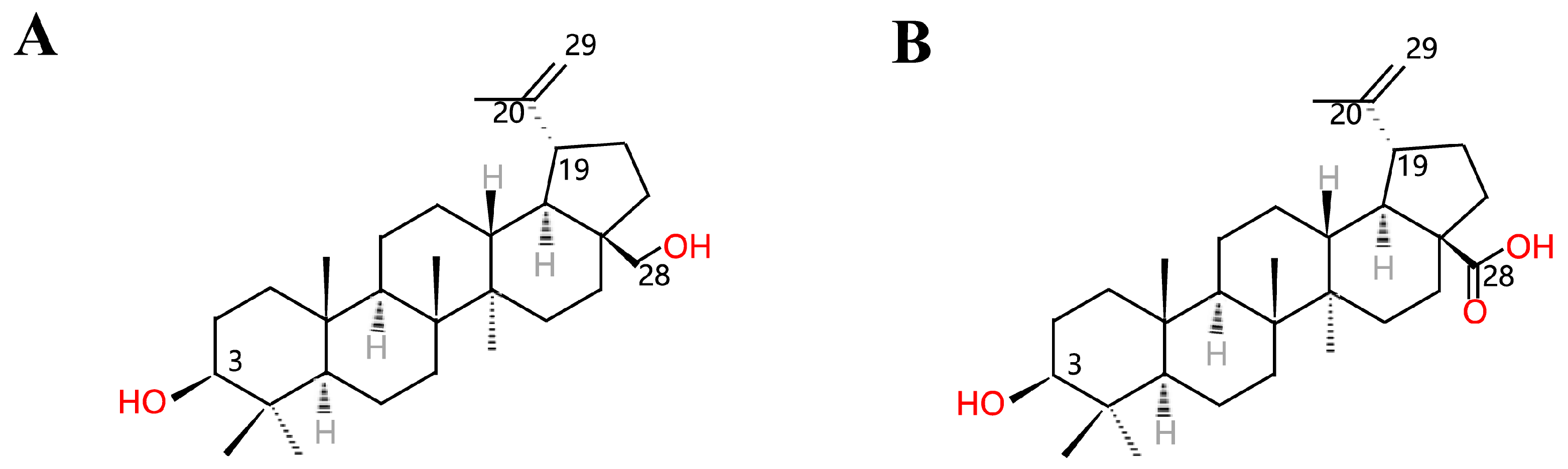 Molecules 26 05583 g001 Molecules 26 05583 g001